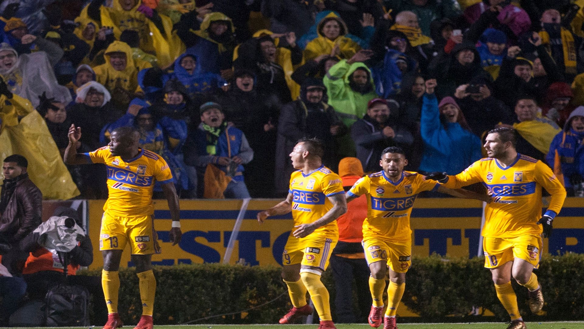 Tigres Final