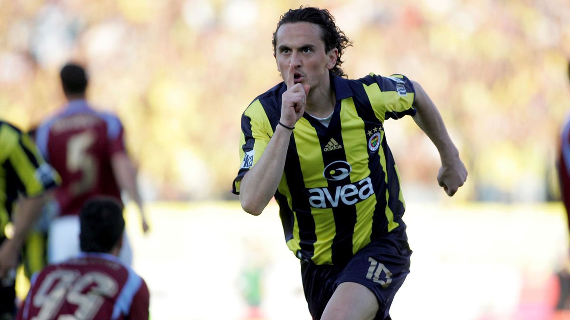 Tuncay Sanli Fenerbahçe