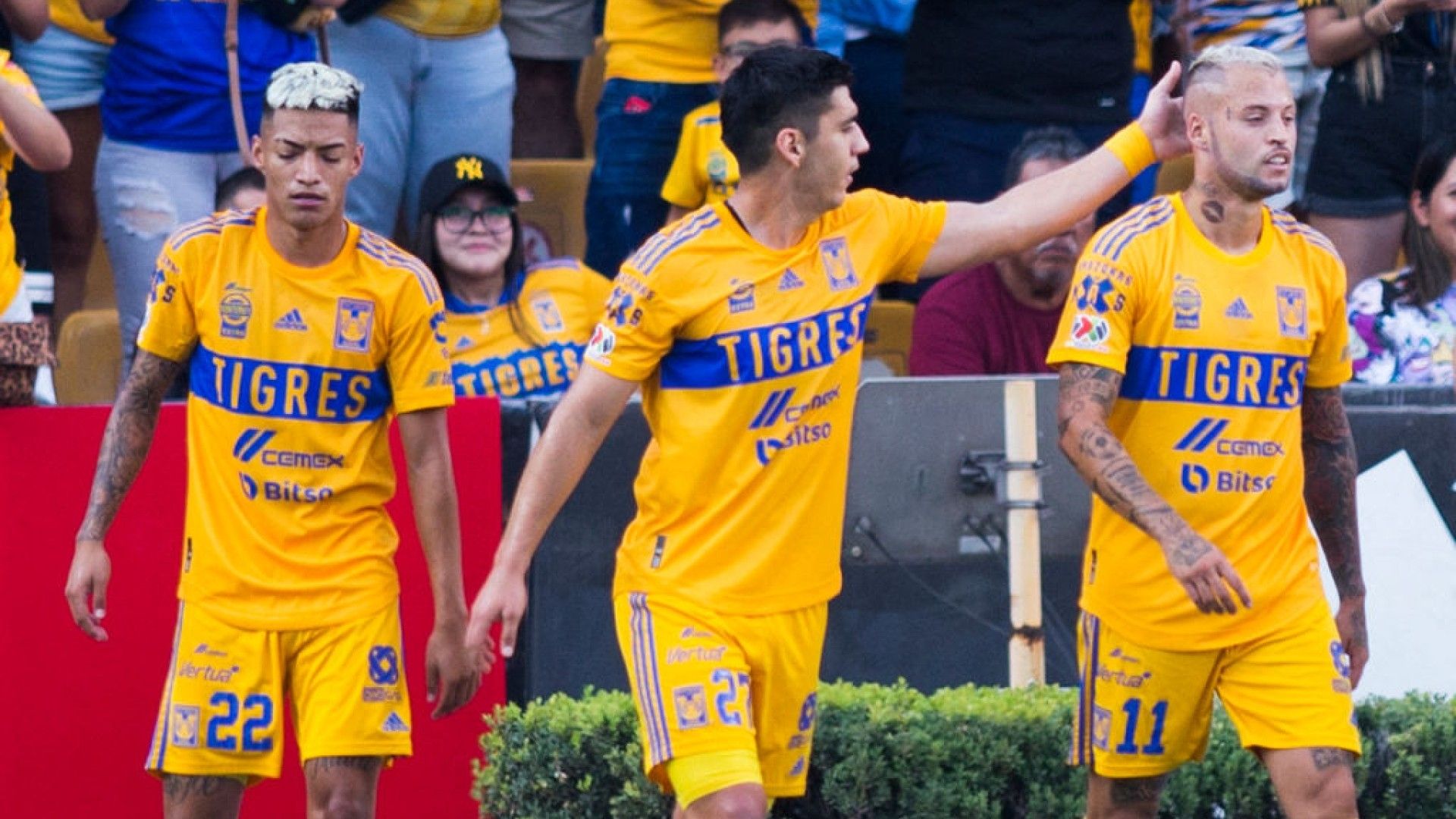 Raymundo Fulgencio Jesús Angulo Diente López Tigres Apertura 2022