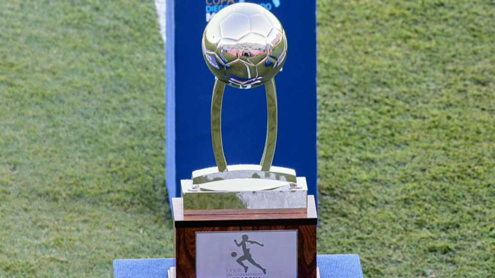 Trofeo Copa de la Liga Profesional