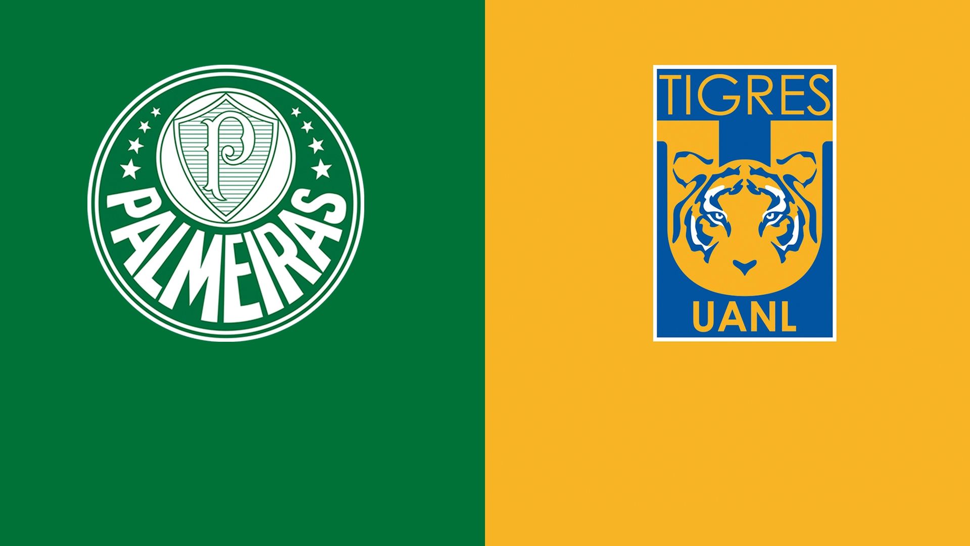 Palmeiras vs. Tigres