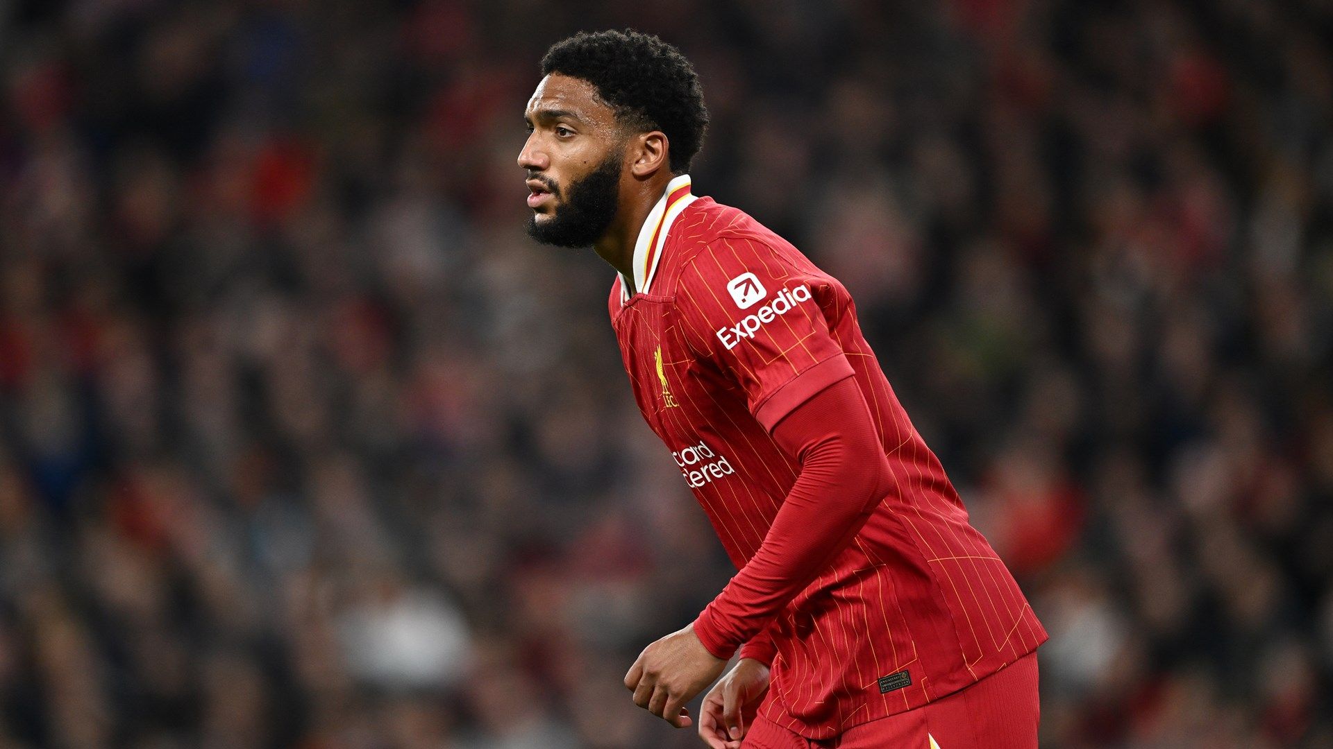 Joe Gomez Liverpool 2024-25