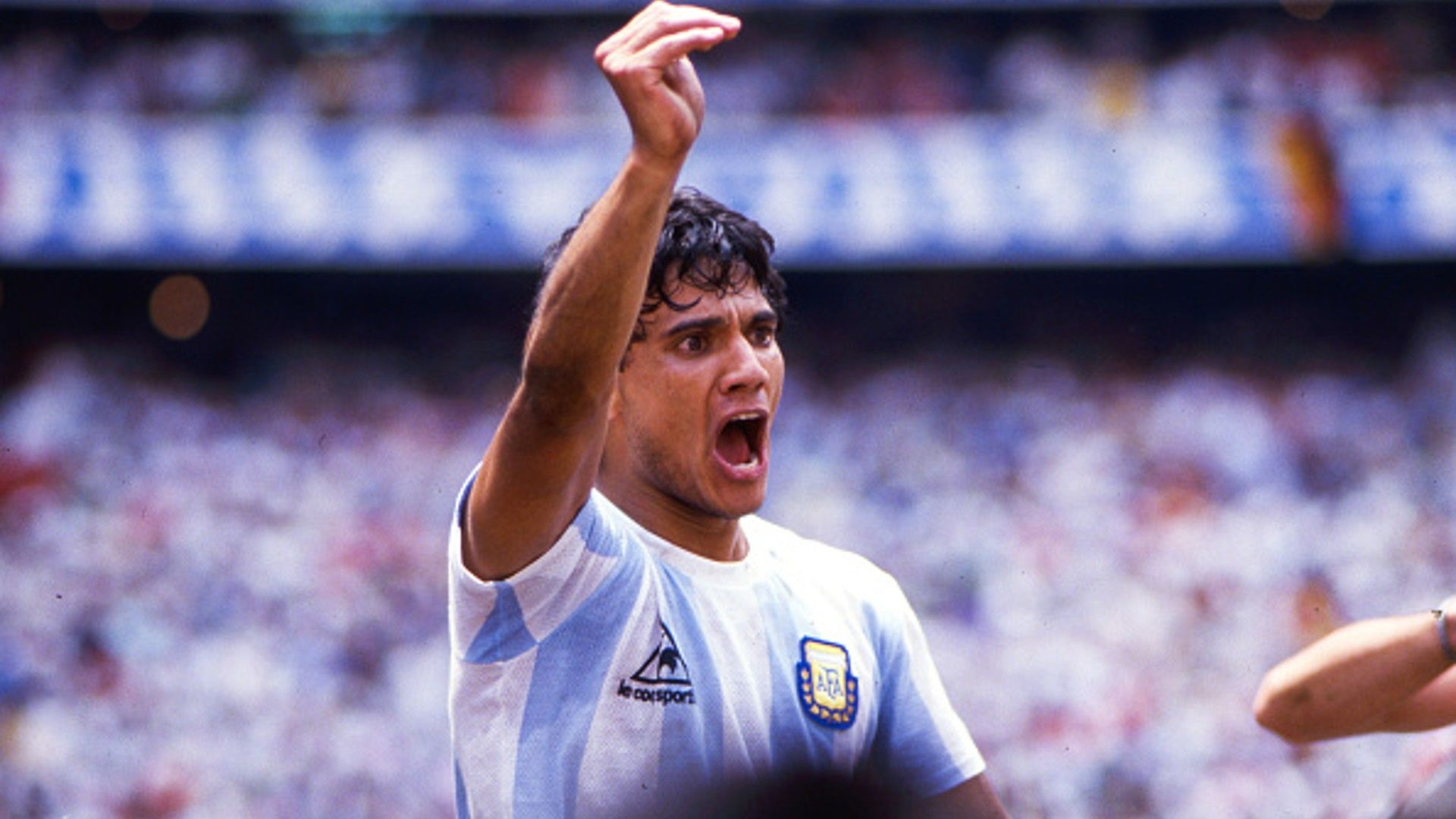 Jorge Valdano after Argentina's World Cup win