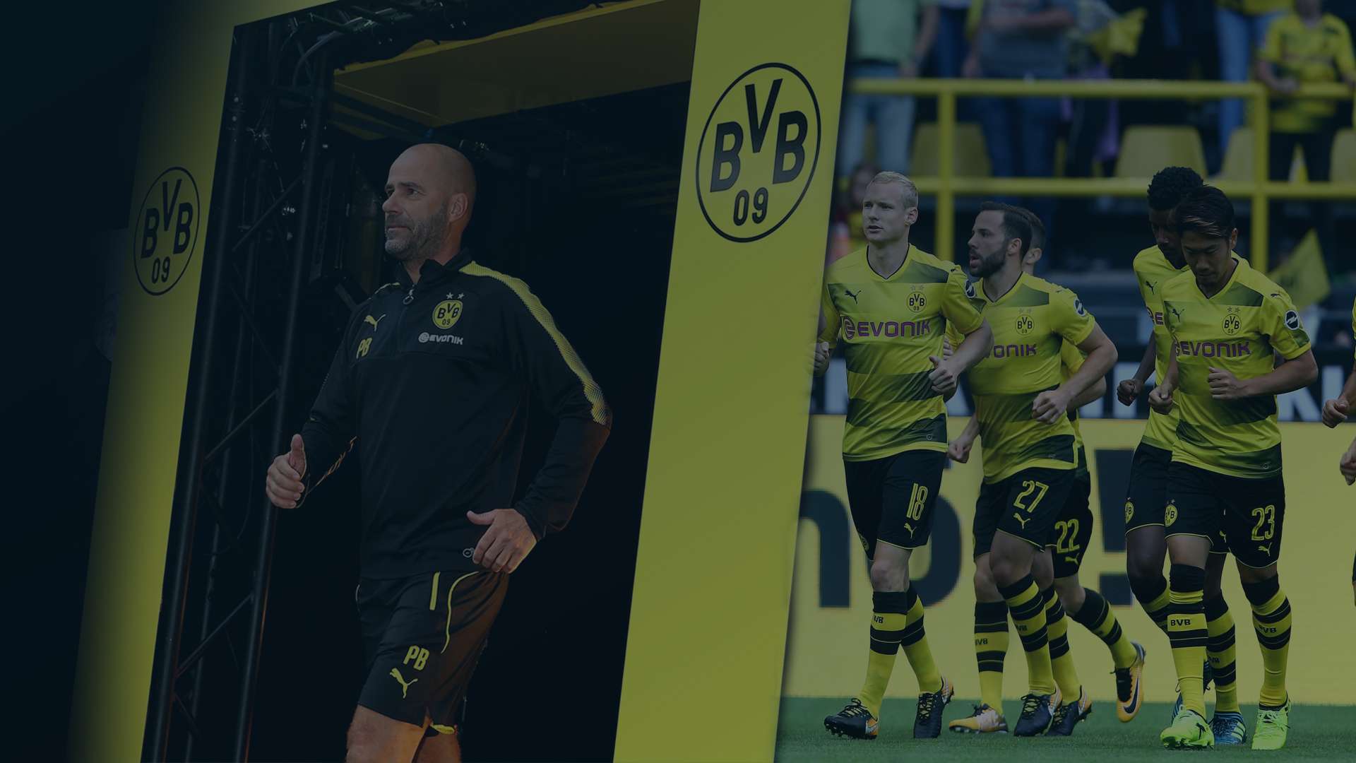 Bosz BVB