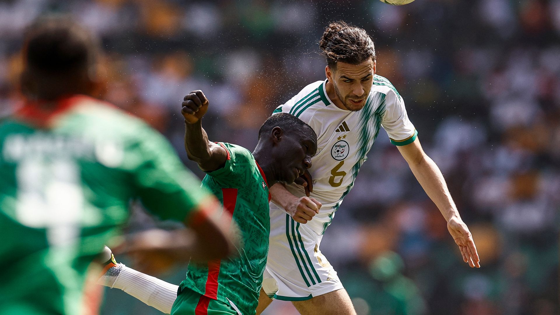 Equatorial Guinea vs Algeria: Date, Broadcast Channels, and Team Formation for 2025 African Cup of Nations Qualifiers