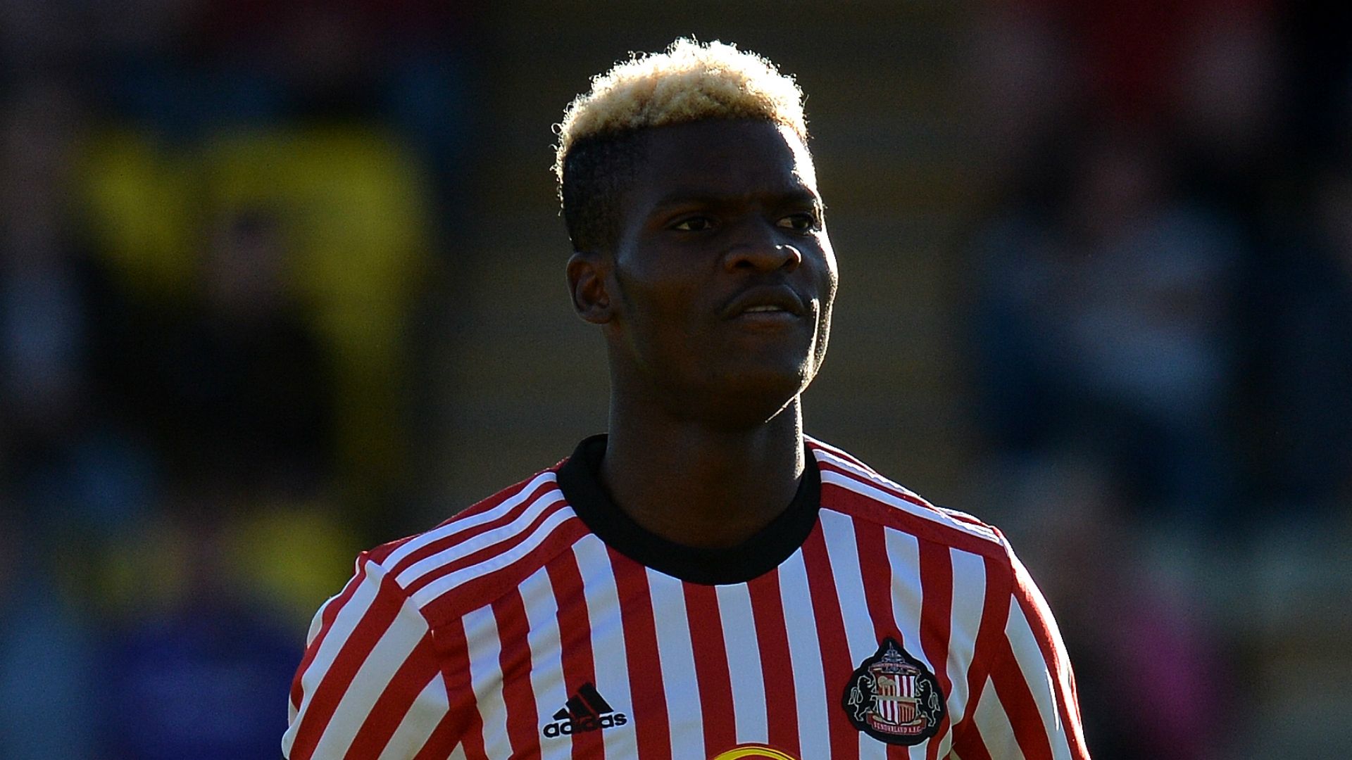 Didier Ndong - Sunderland
