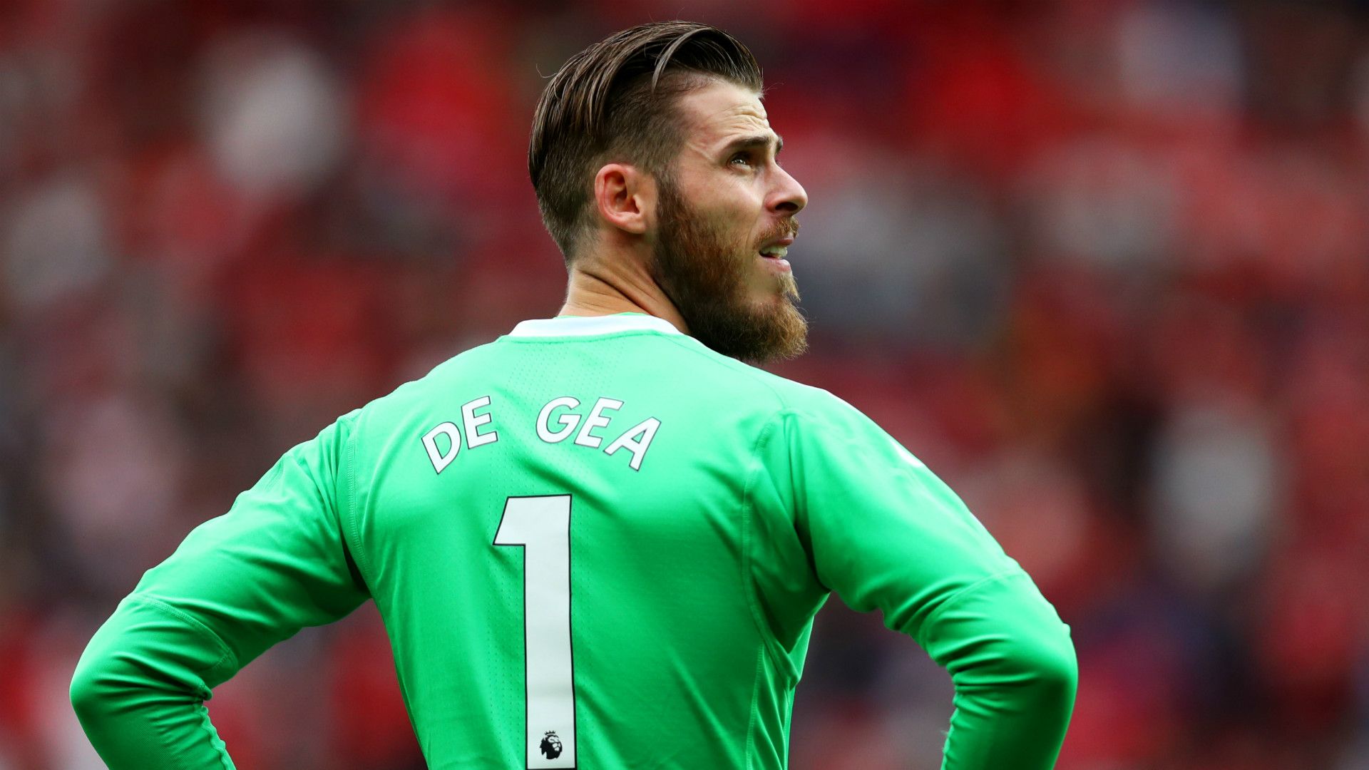 David de Gea Manchester United
