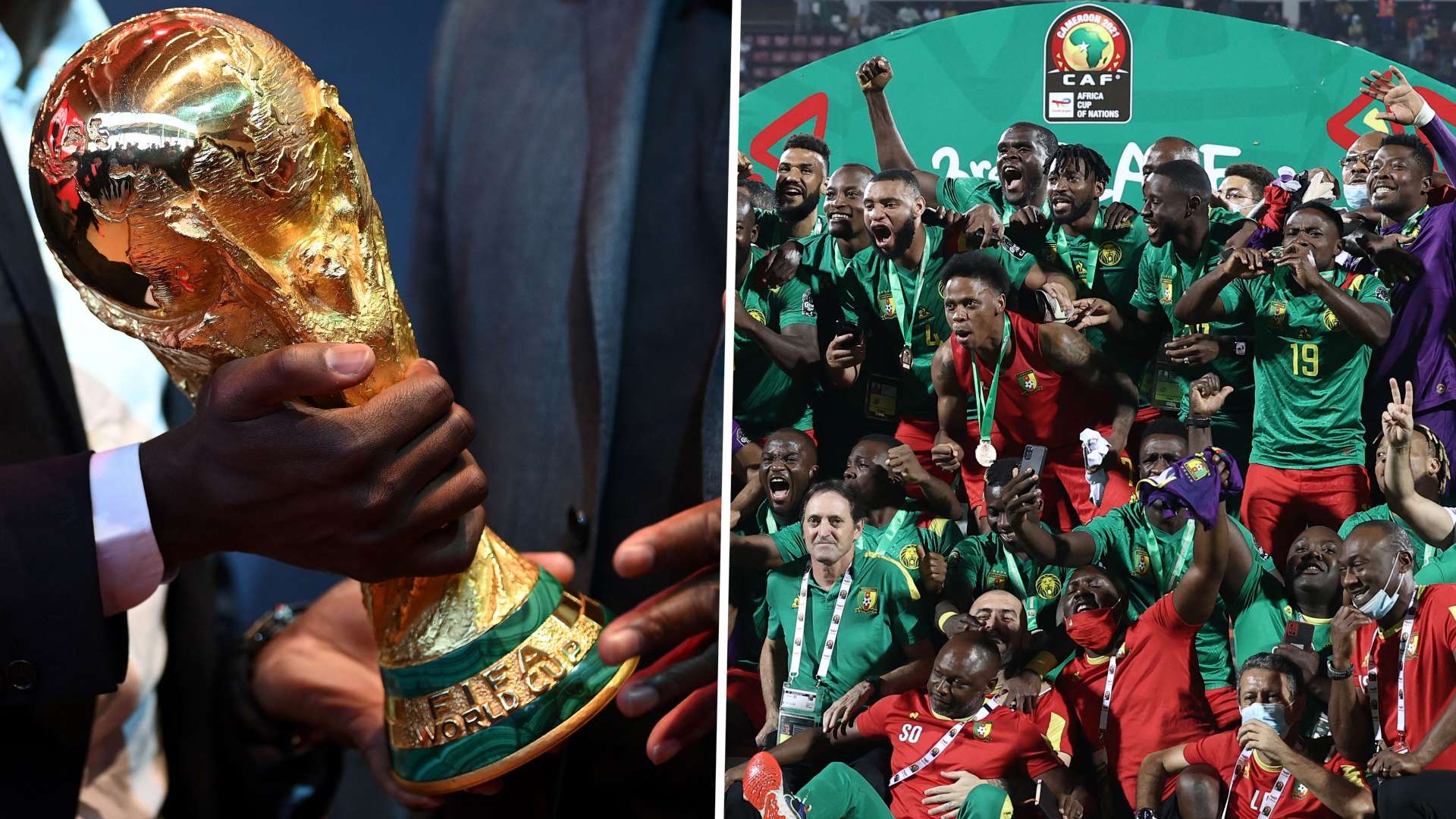 Cameroon World Cup GFX