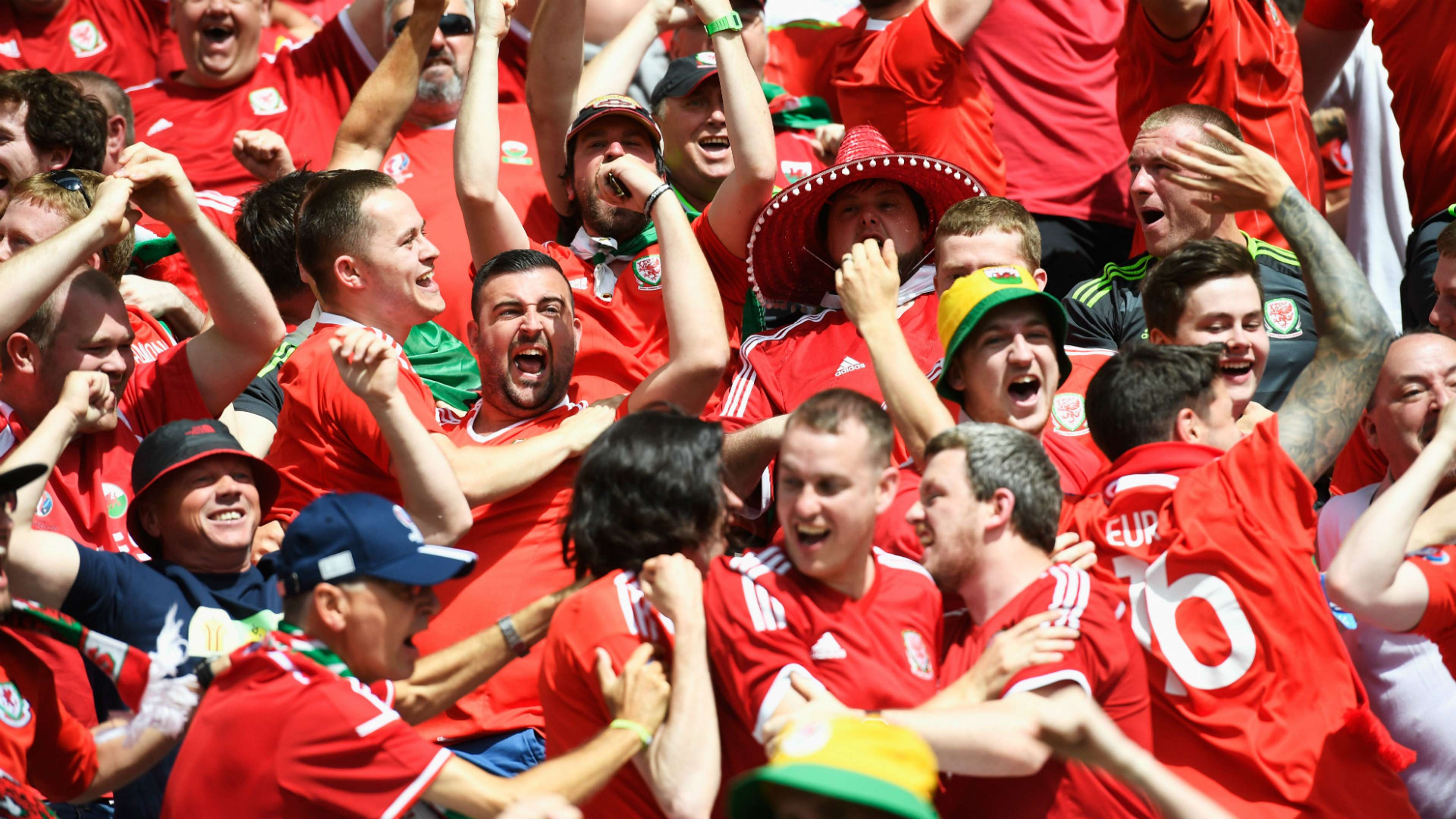 Wales Fans 16062016