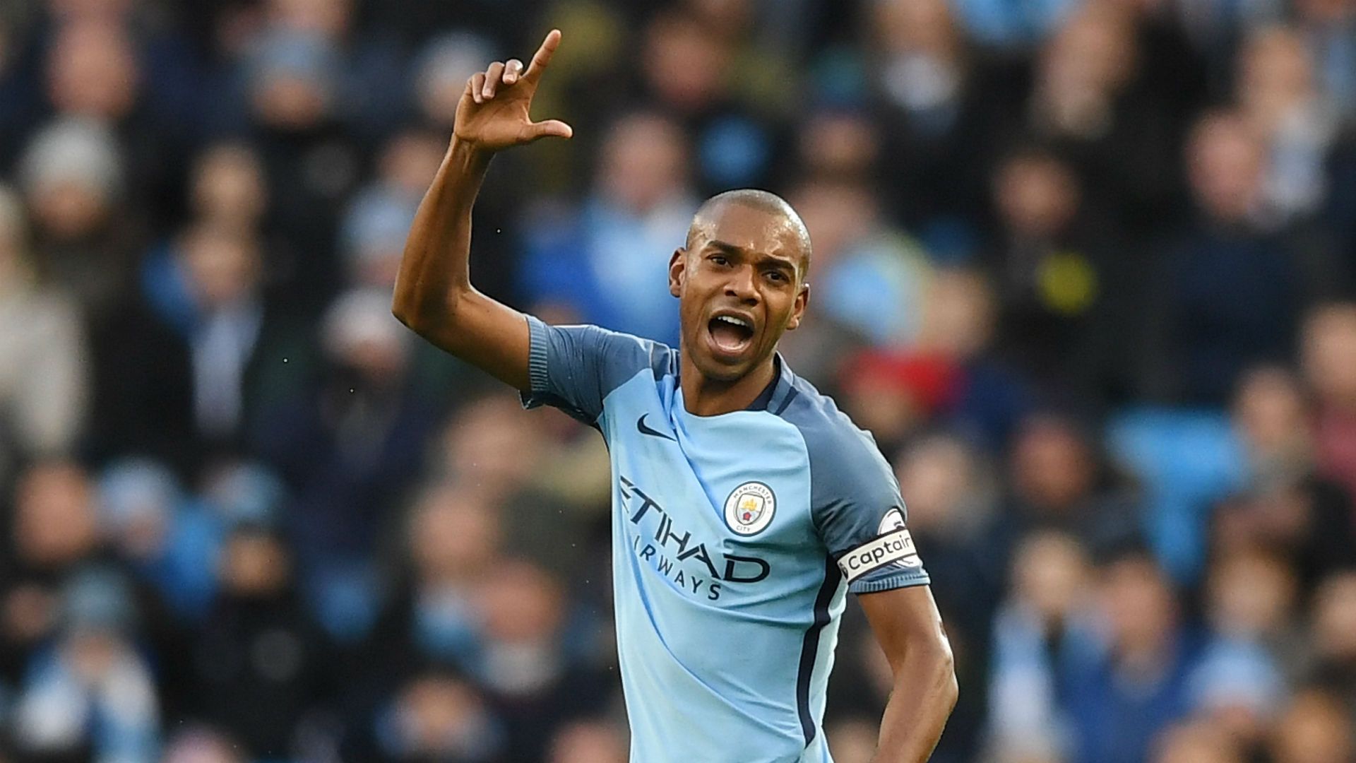 Fernandinho Manchester City
