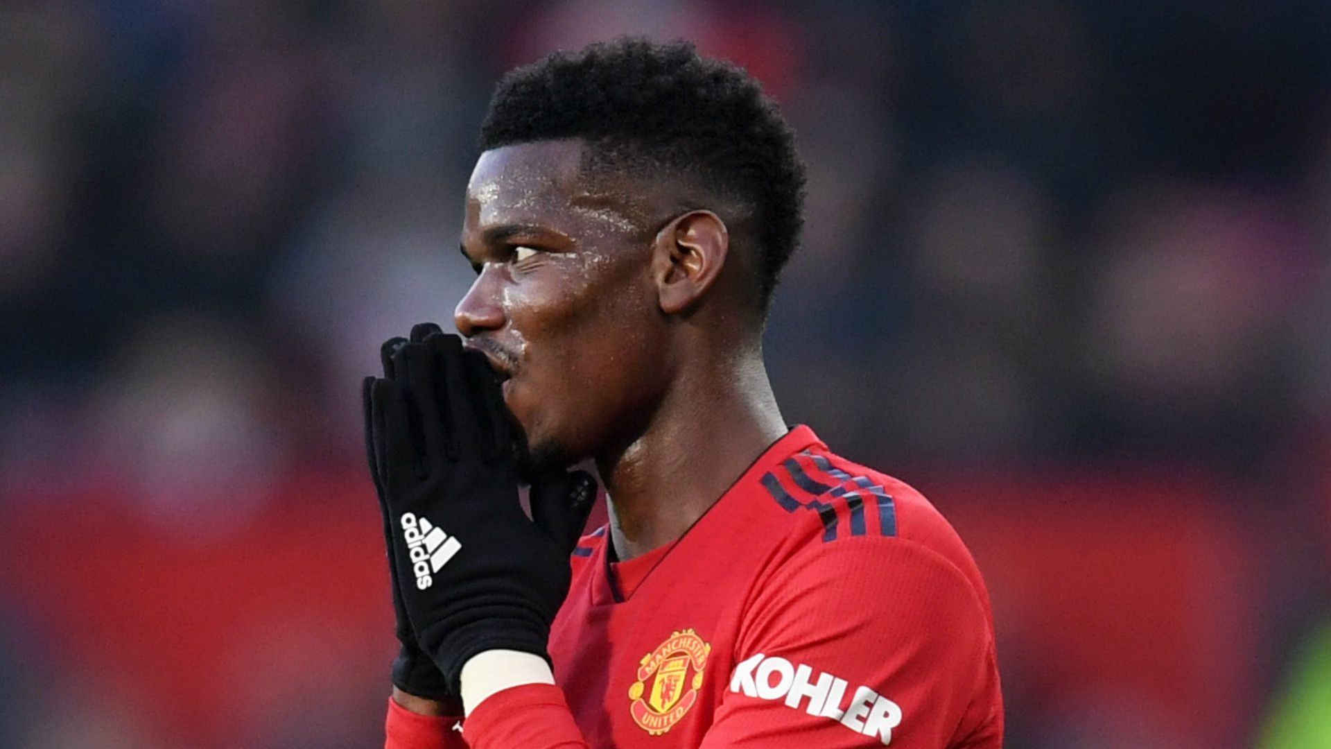 Paul Pogba Manchester United 2018-19