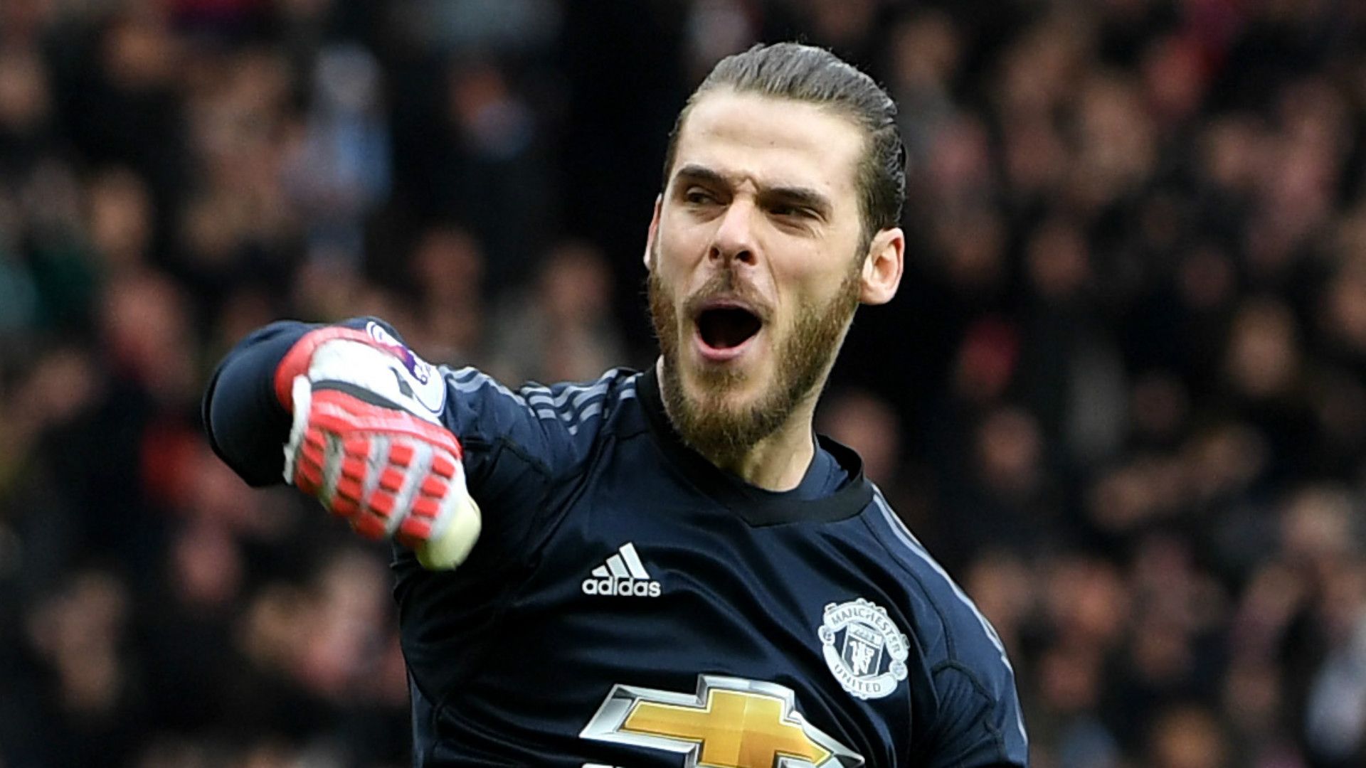 David de Gea Manchester United