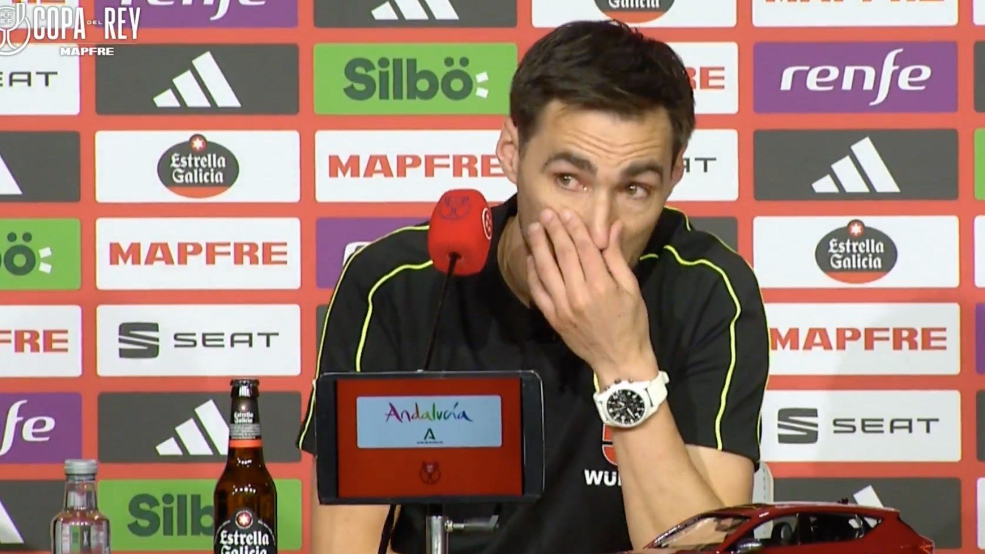 Ricardo de Burgos Bengoetxea 2025