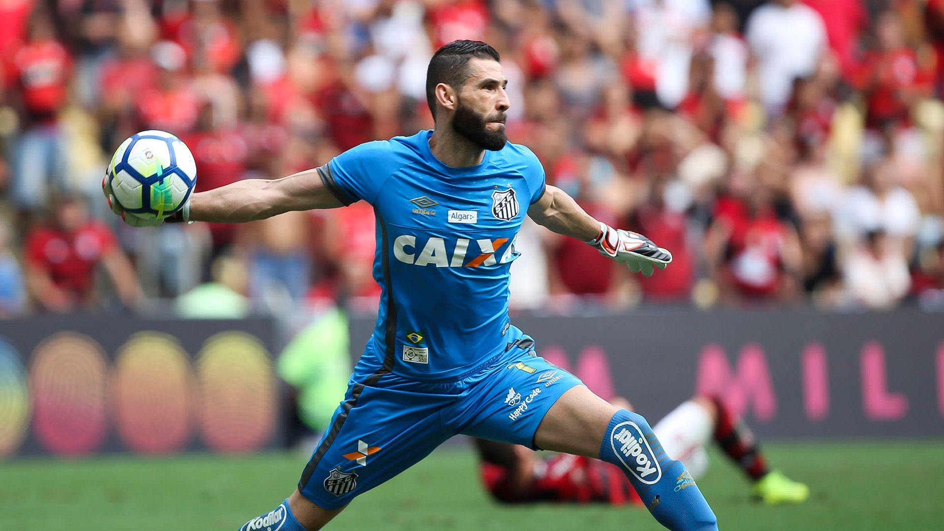Vanderlei Flamengo Santos Brasileirão Série A 15112018