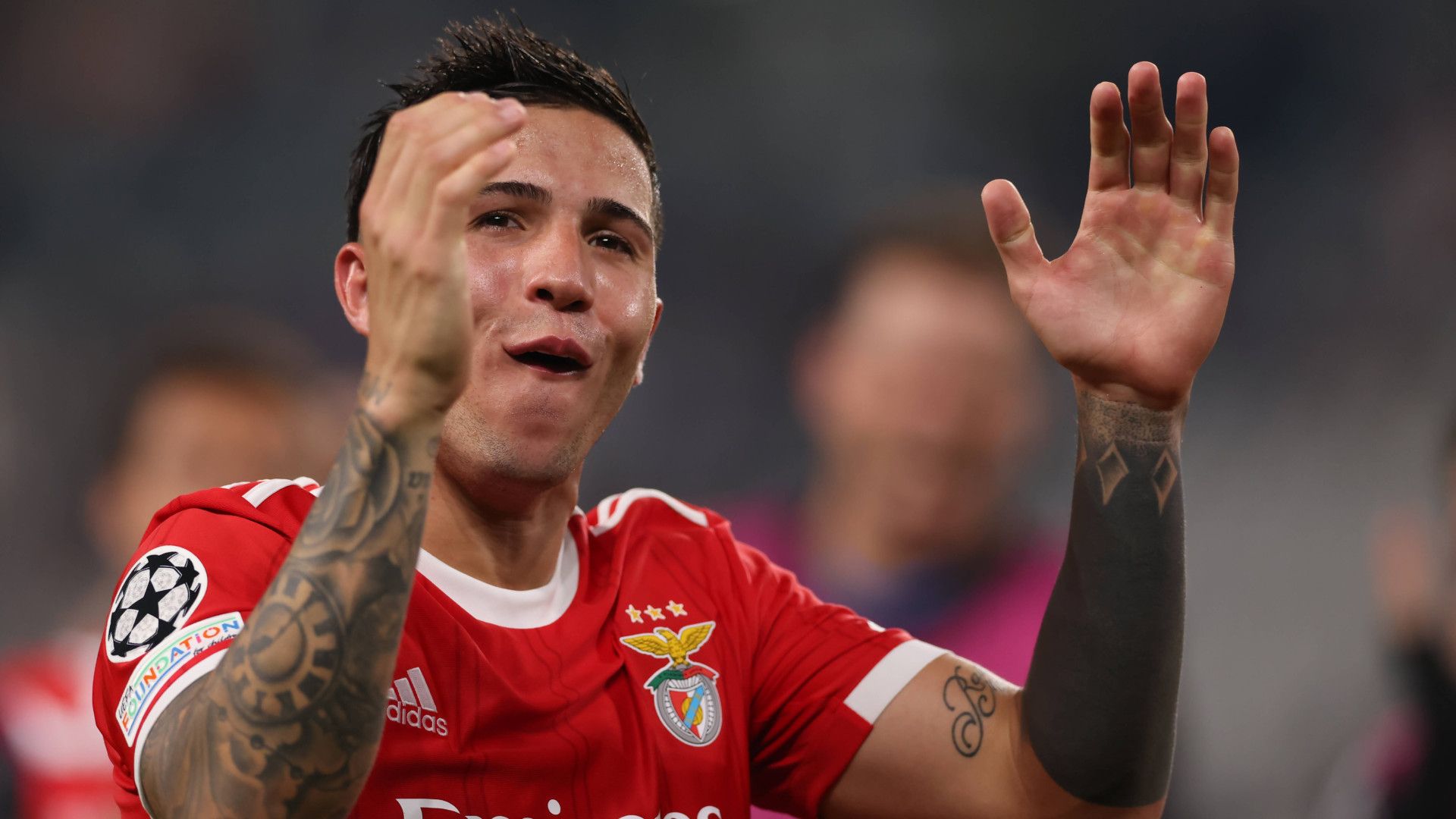 GERMANY ONLY: ENZO FERNANDEZ BENFICA