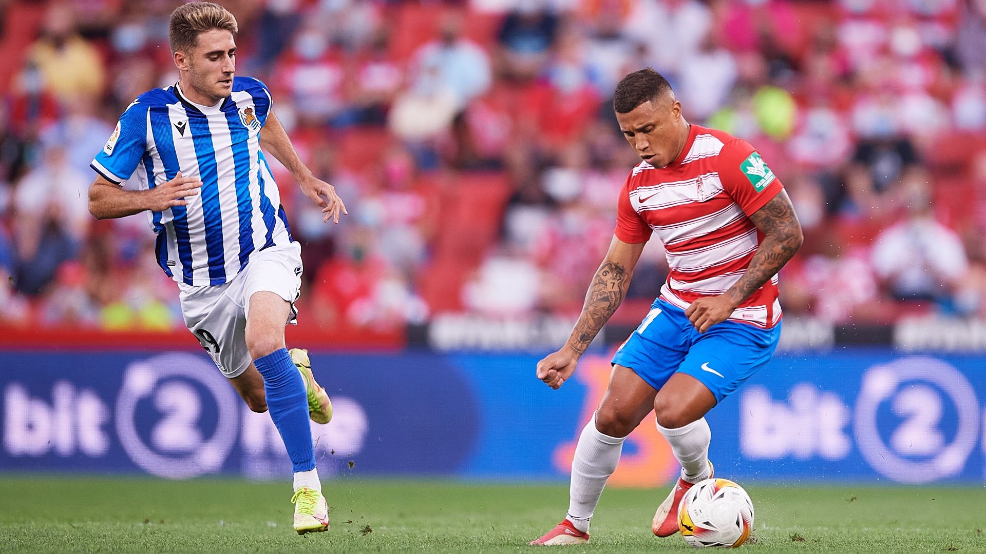 Darwin Machís Granada