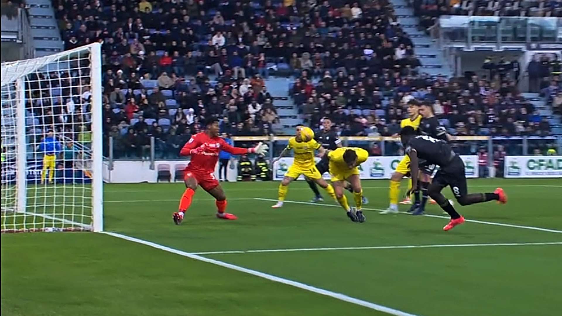 Cagliari Parma Adopo Vogliacco