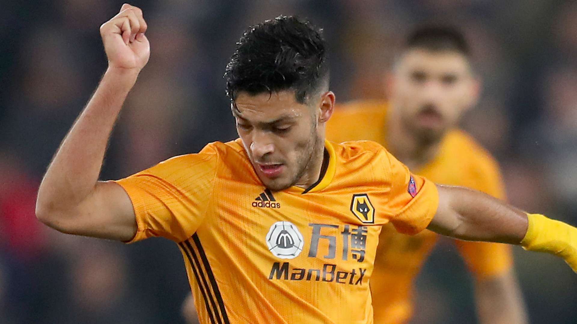 Raul Jimenez Wolves 2019-20