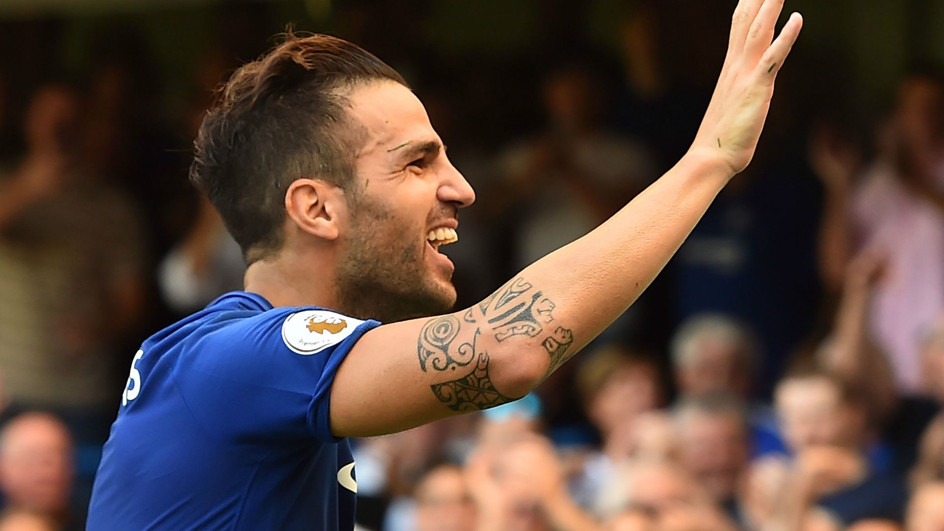 Cesc Fabregas Chelsea