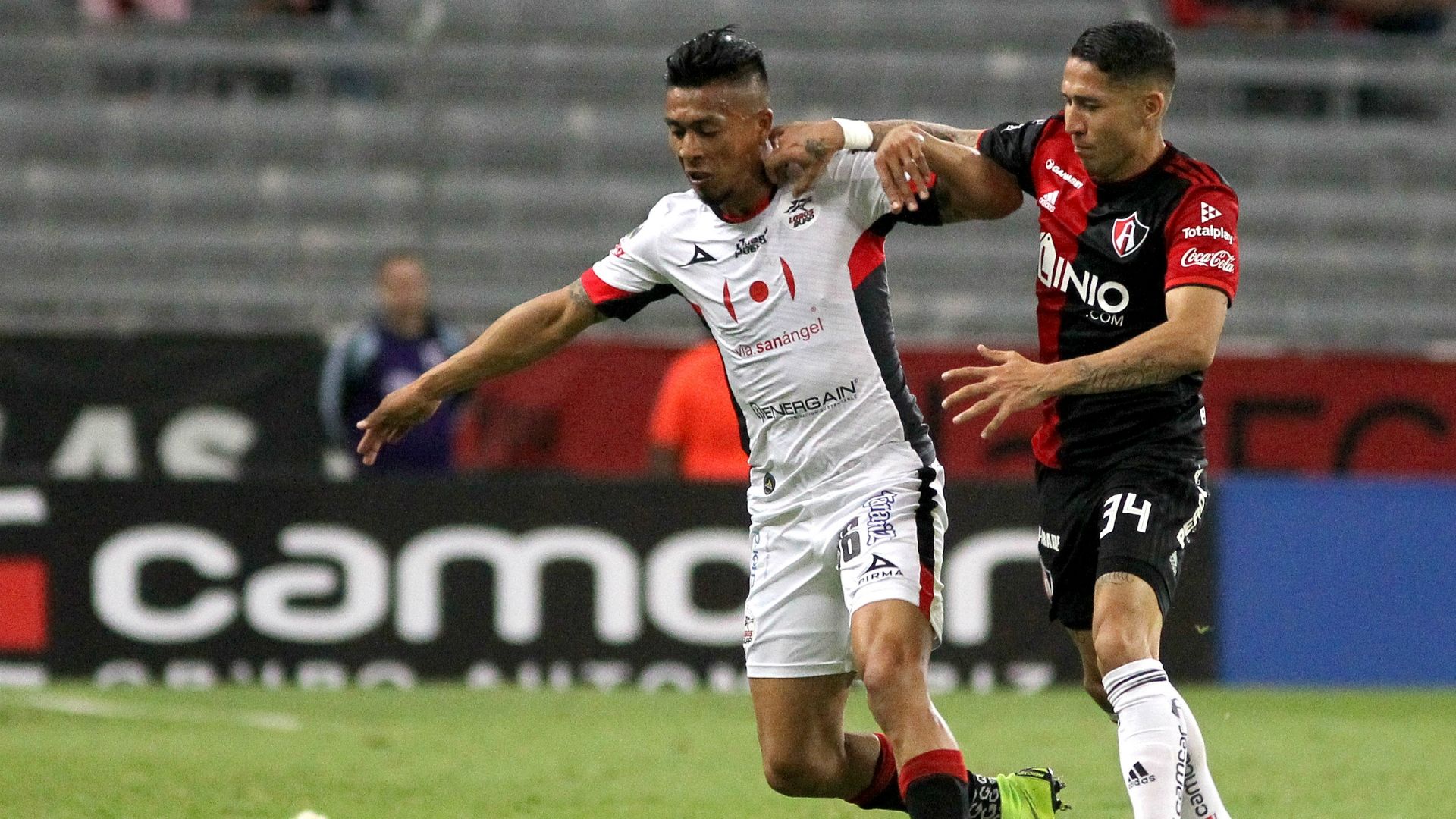 Lobos BUAP Atlas
