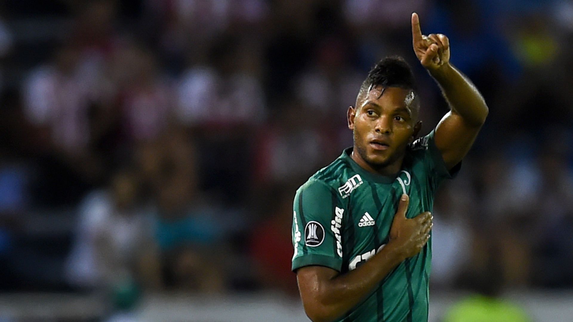 Miguel Borja Junior Palmeiras Copa Libertadores 01032018