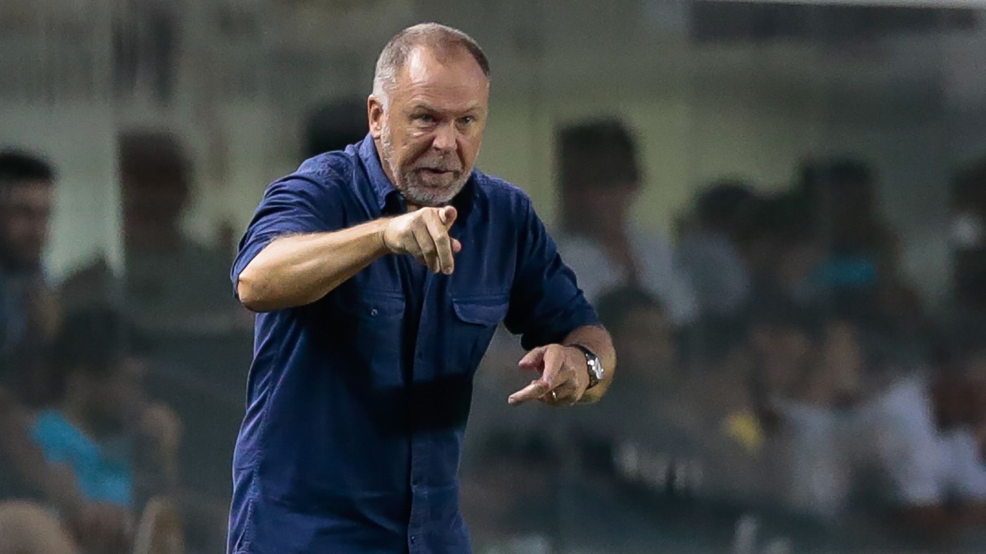 Mano Menezes Santos Cruzeiro Brasileirao Serie A 28052017