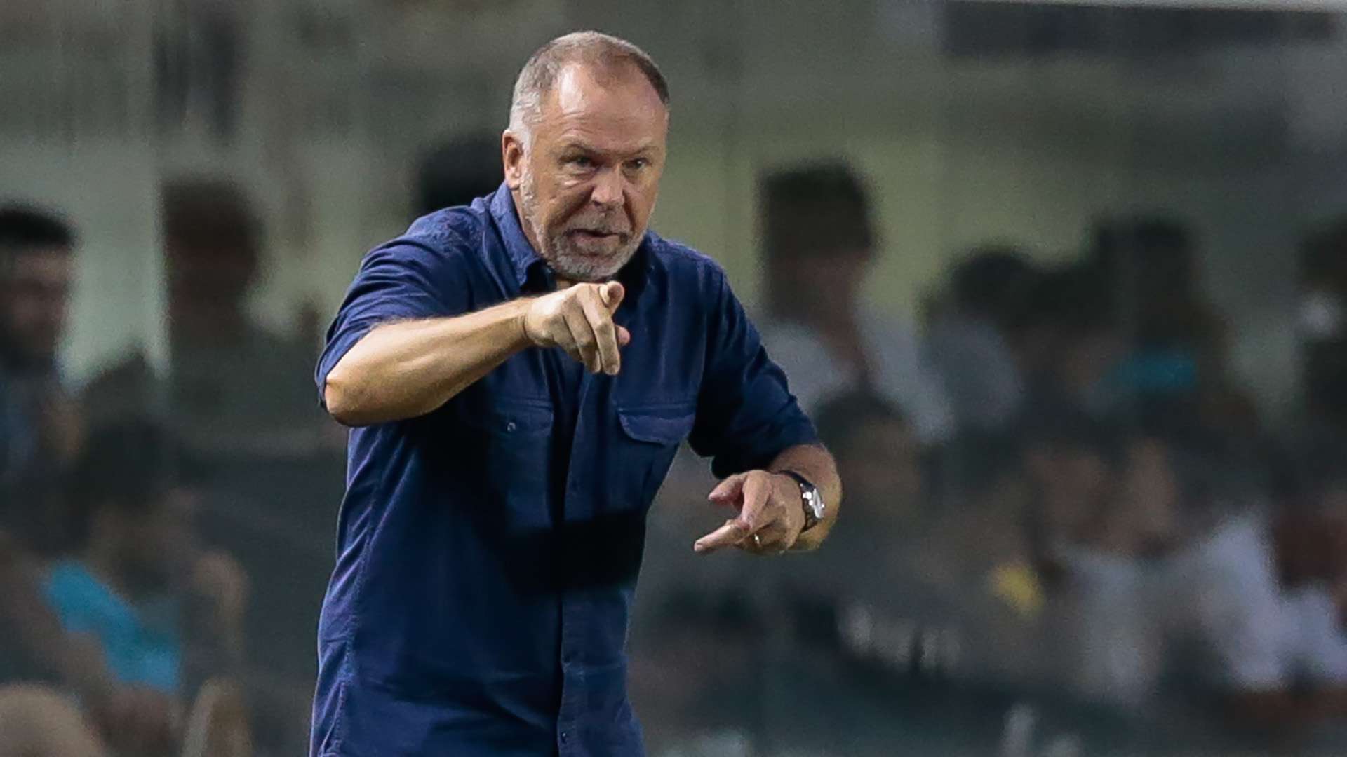 Mano Menezes Santos Cruzeiro Brasileirao Serie A 28052017