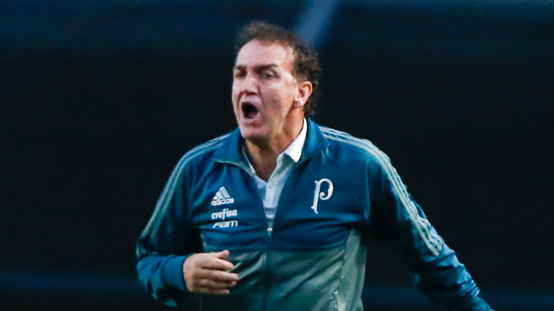 Cuca Palmeiras 01072017