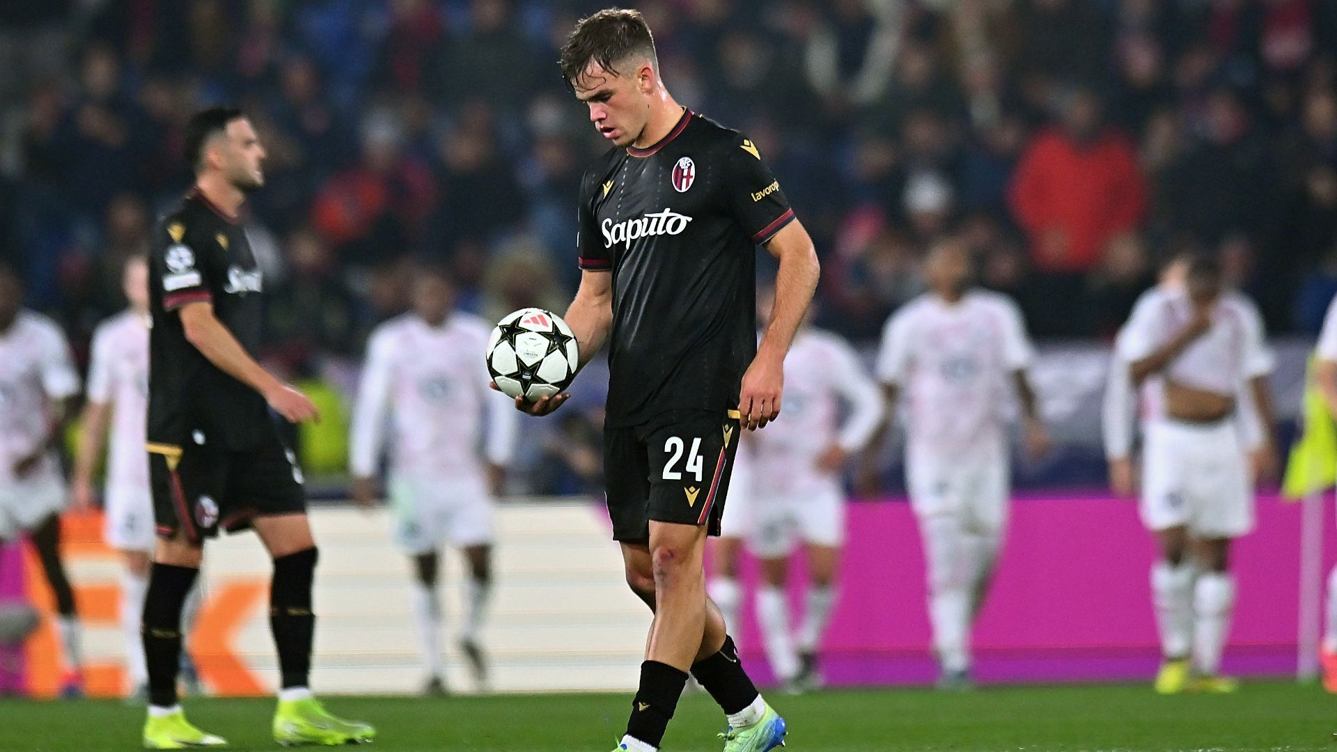 Bologna Lille Dallinga