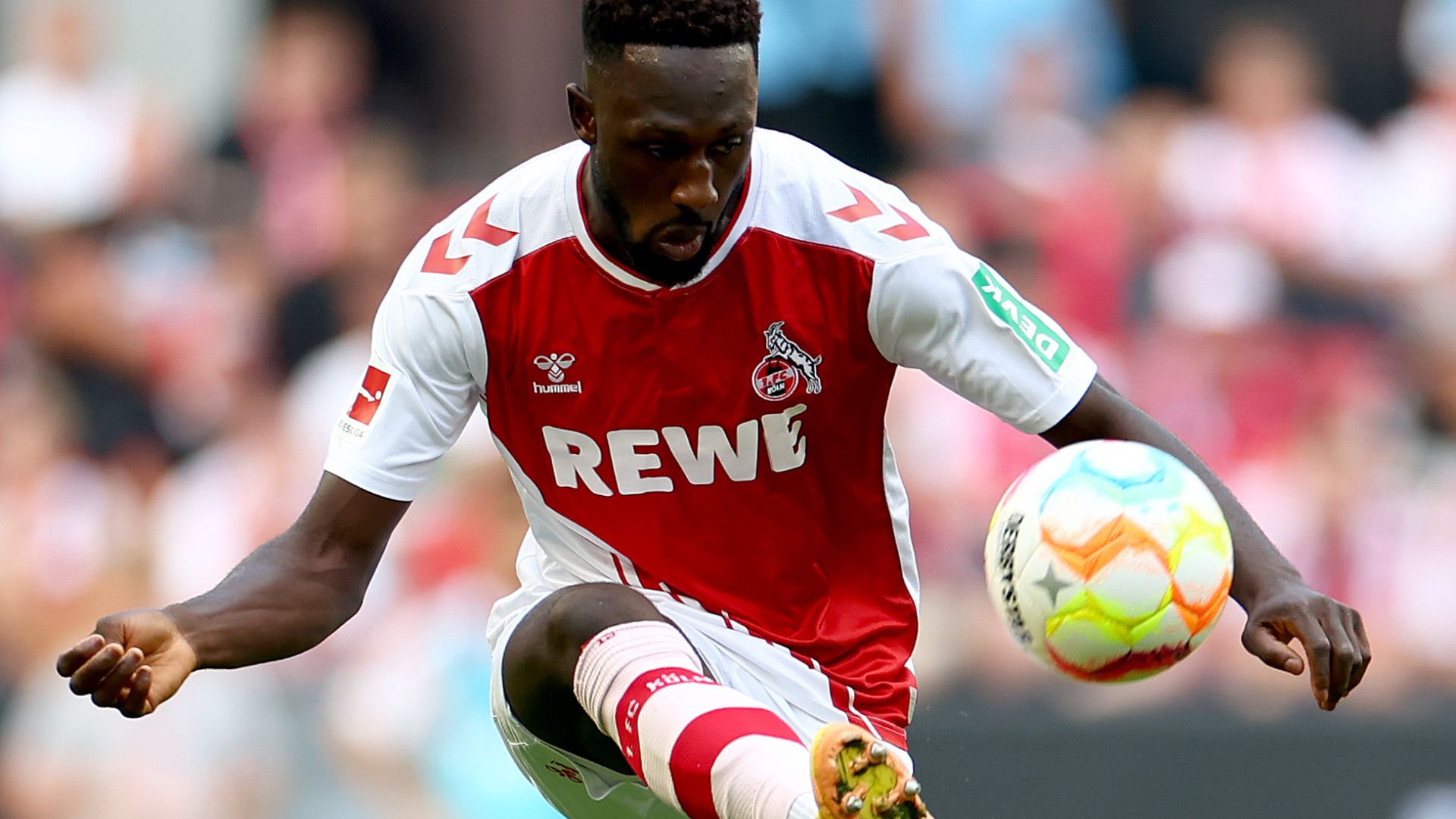 KINGSLEY SCHINDLER KÖLN