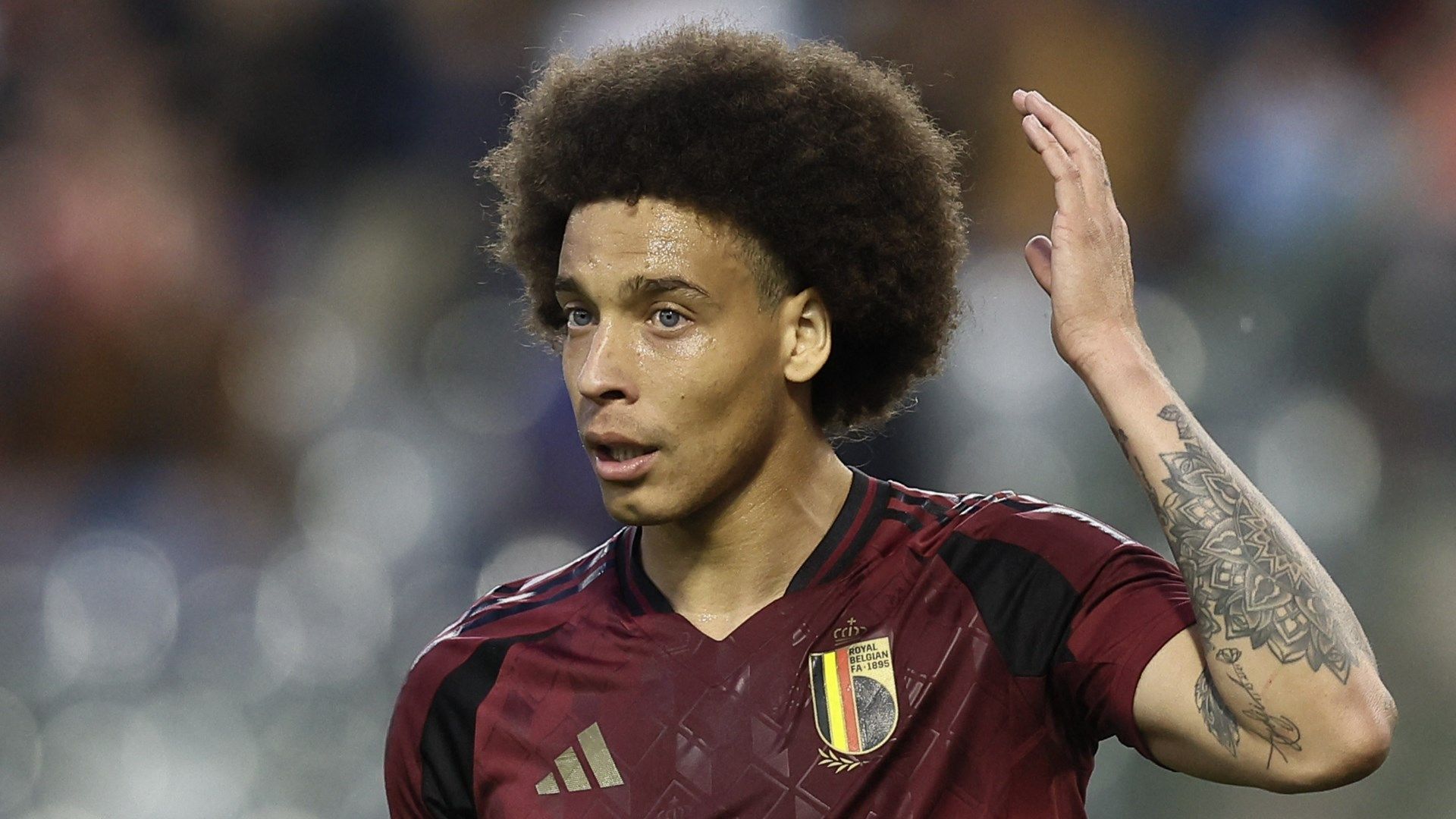 Axel Witsel Belgium 2024