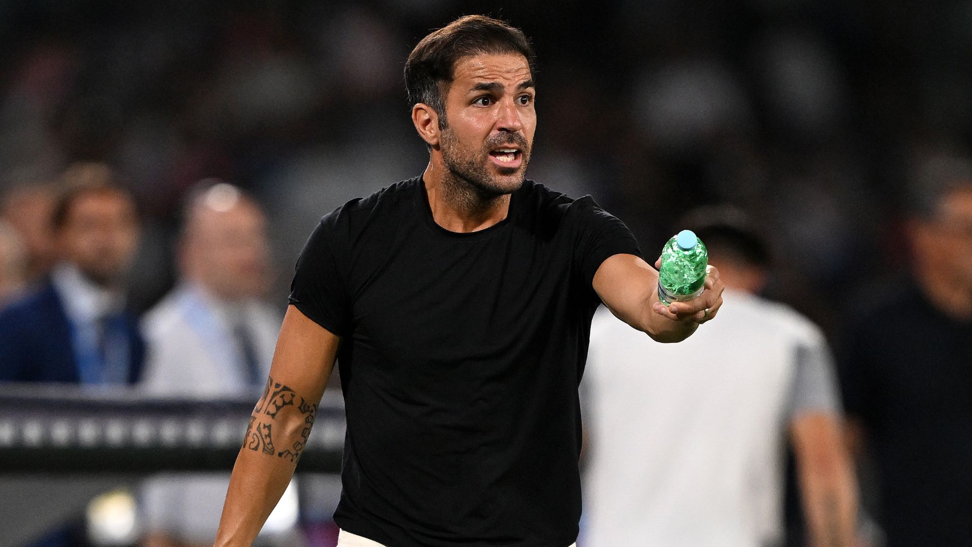 Fabregas Como