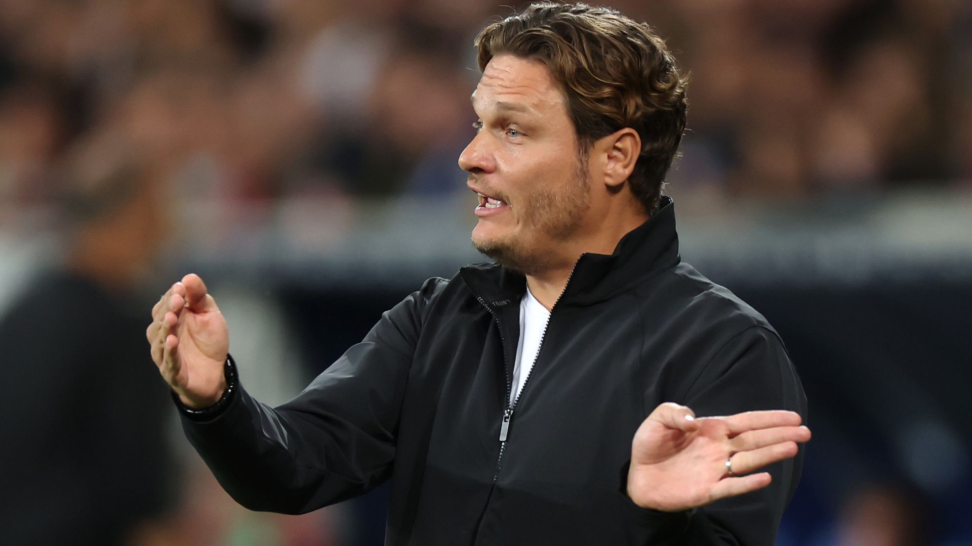 EDIN TERZIC BORUSSIA DORTMUND