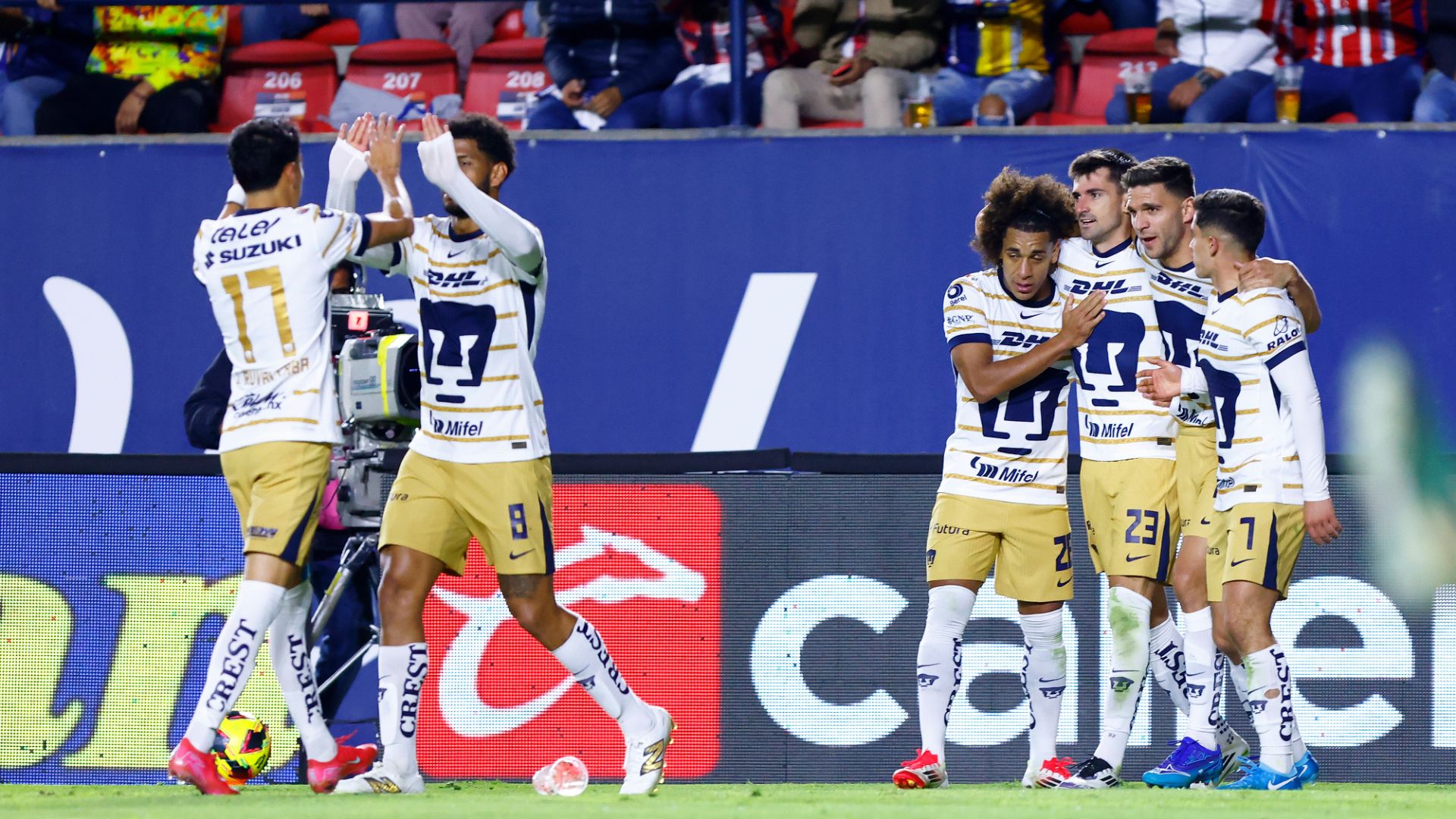 Pumas celebración Clausura 2025 Liga MX