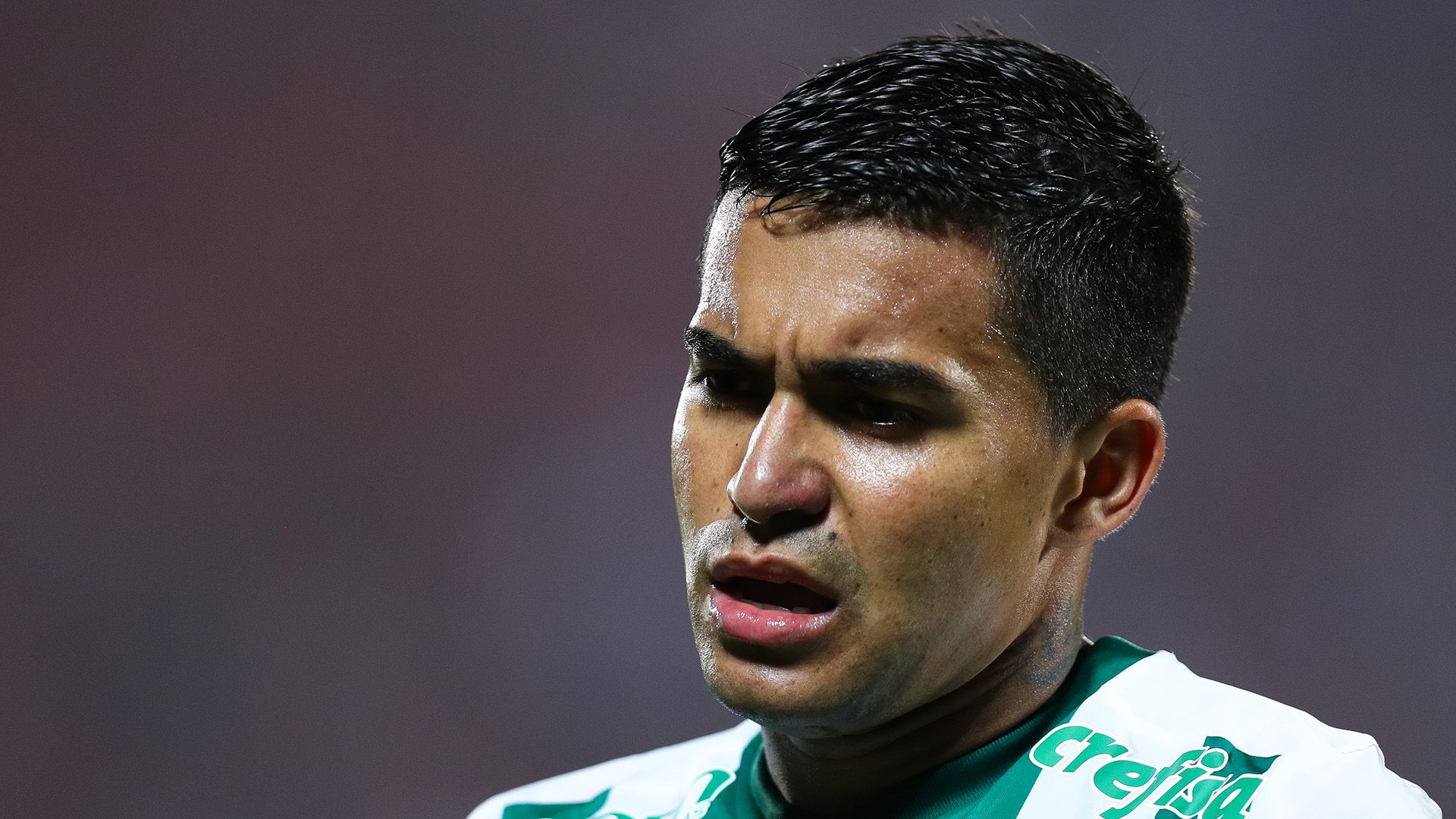 Dudu Palmeiras Flamengo Brasileirao Serie A 19072017