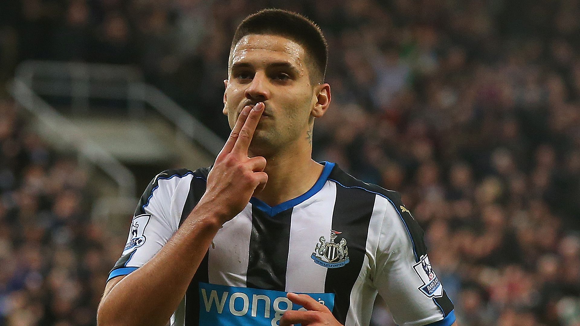 Aleksandar Mitrovic Newcastle United Norwich City 10182015