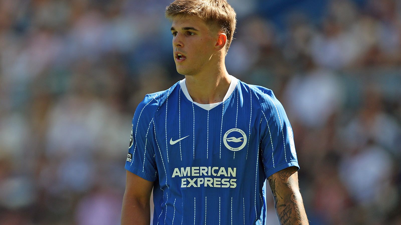 luka vuskovic brighton and hove albion