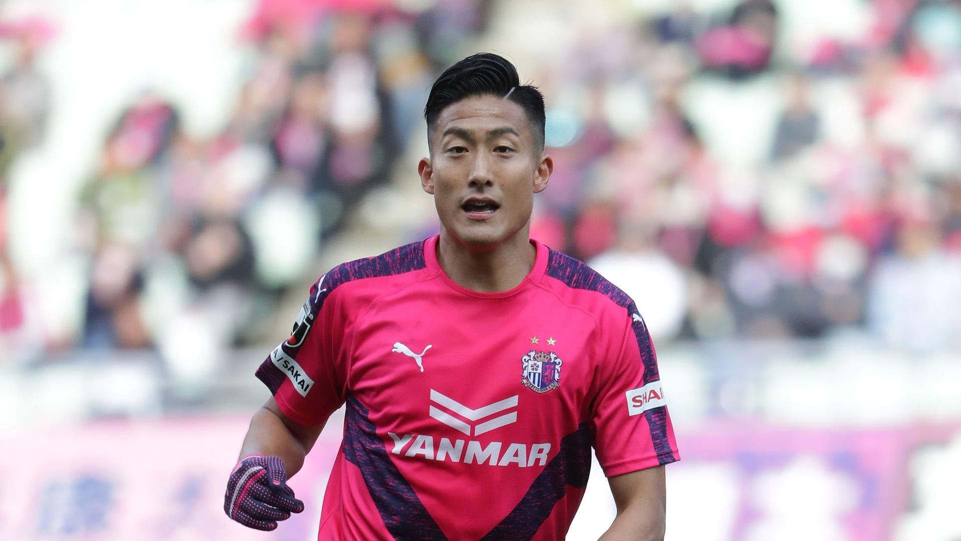 20200220_Cerezo