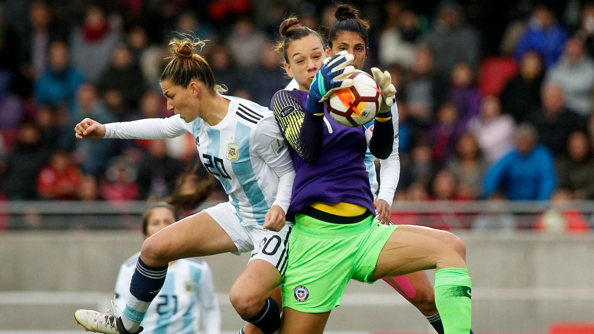 Endler Chile Argentina