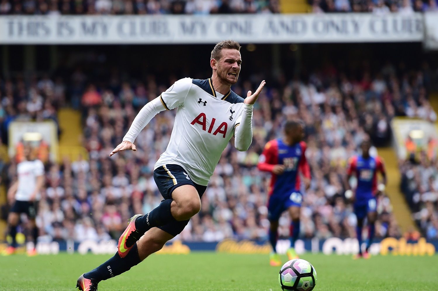 Vincent Janssen Tottenham