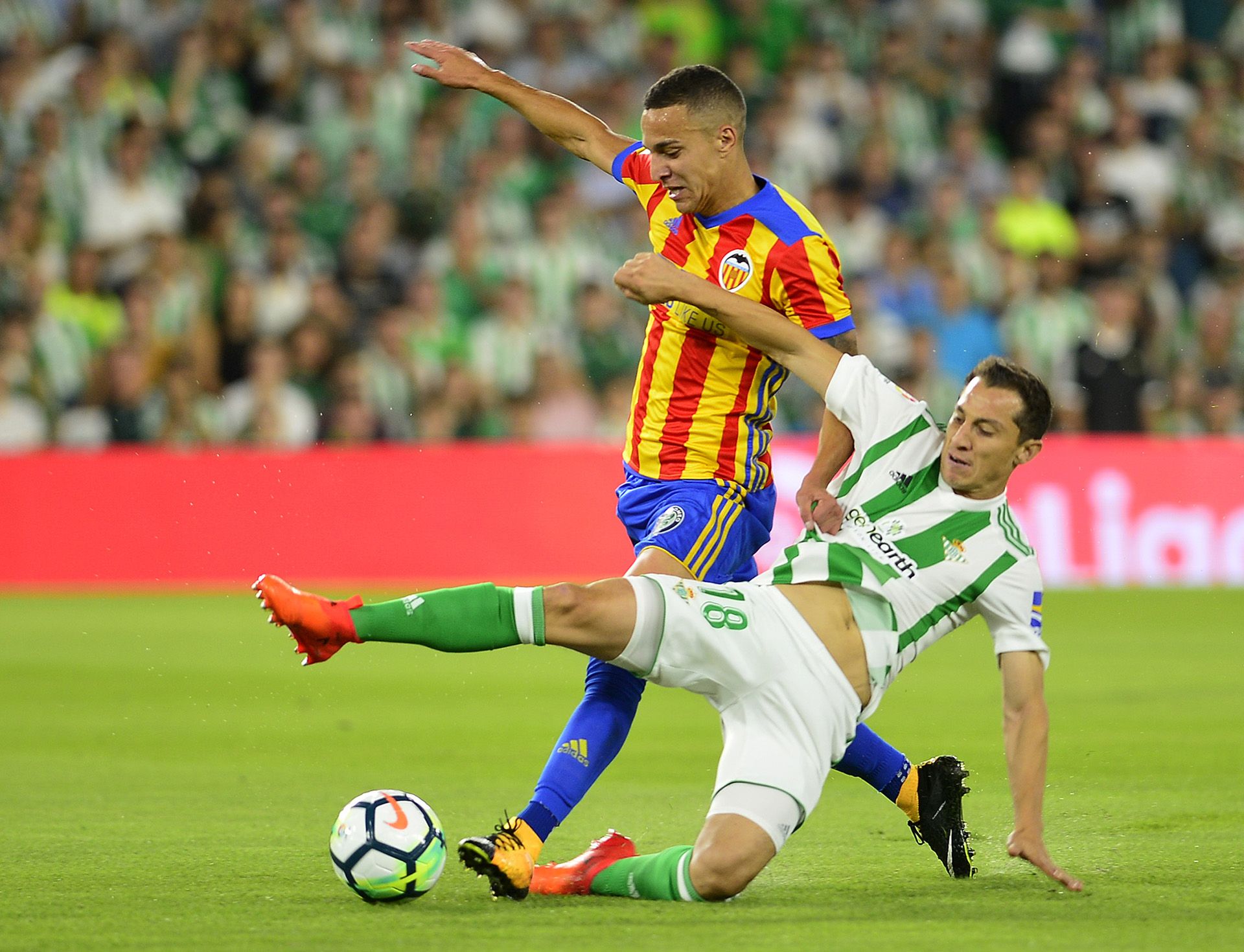 Andrés Guardado Betis
