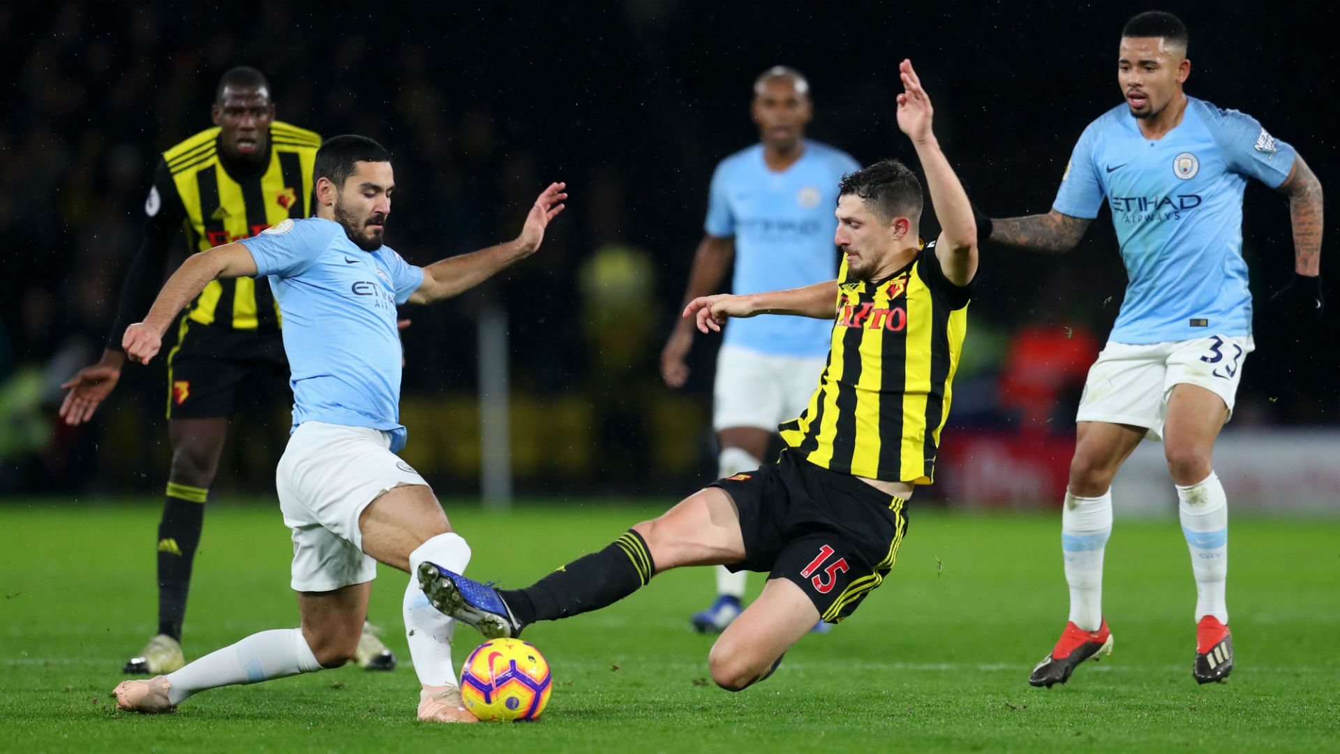Gundogan - cropped