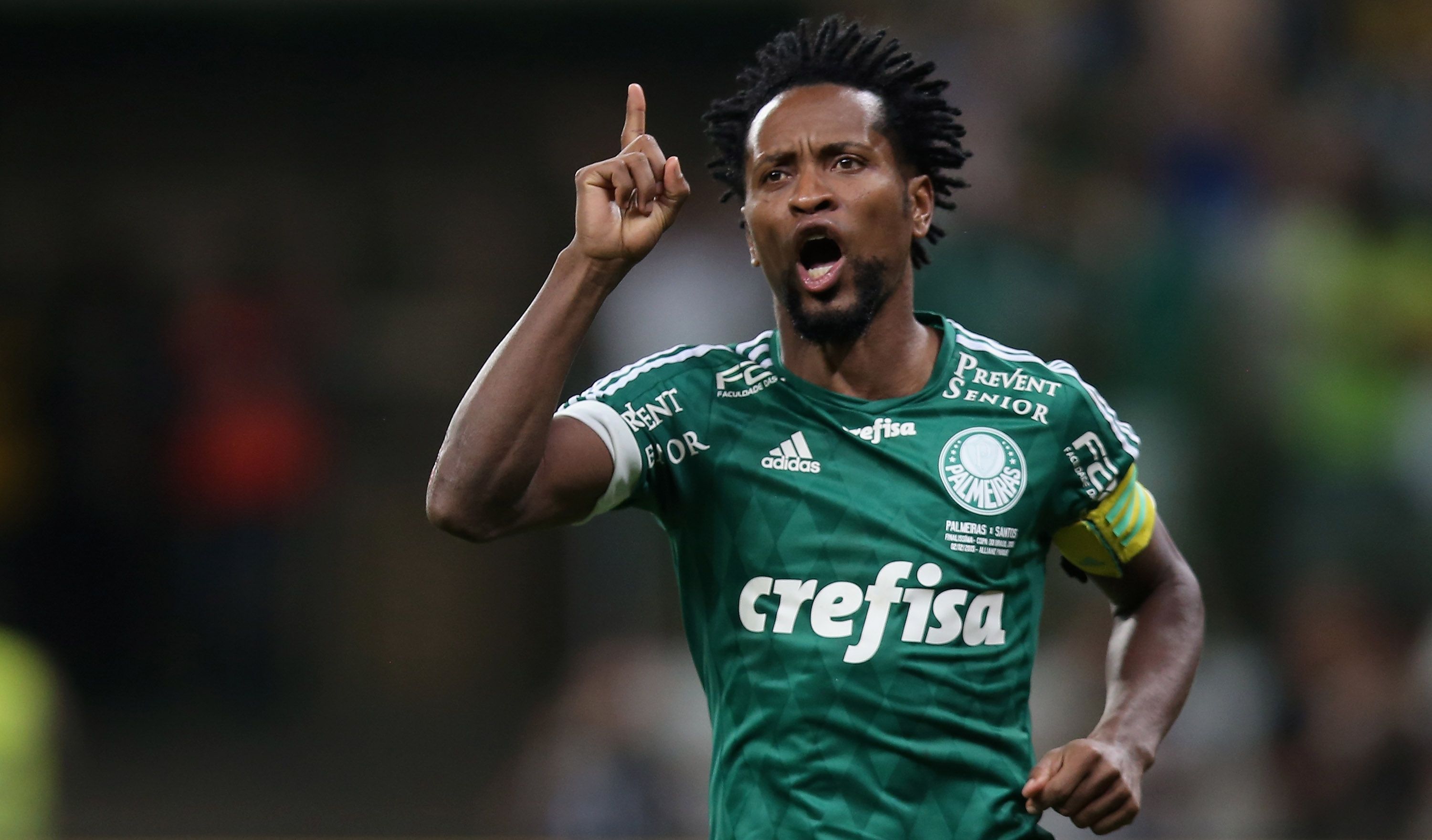 Ze Roberto