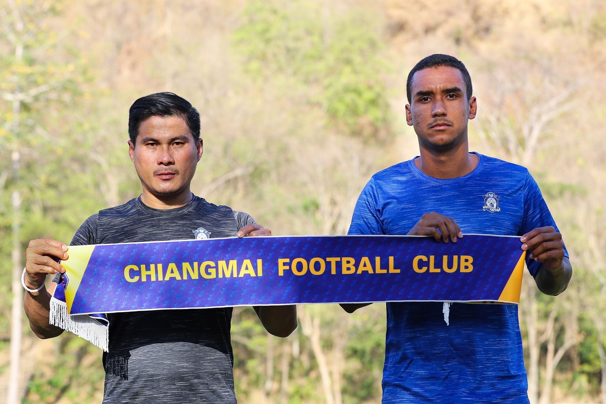 หลุยส์ เวอร์ดินี