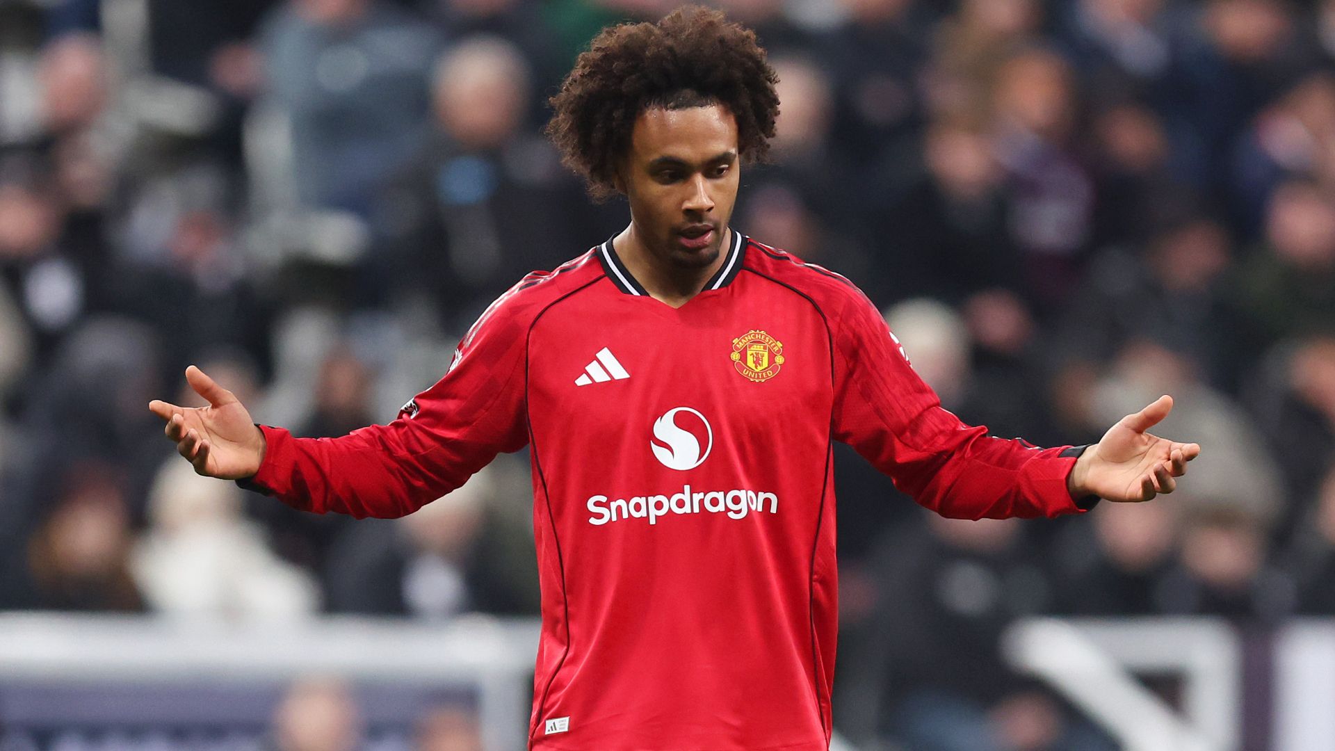 Zirkzee Manchester United