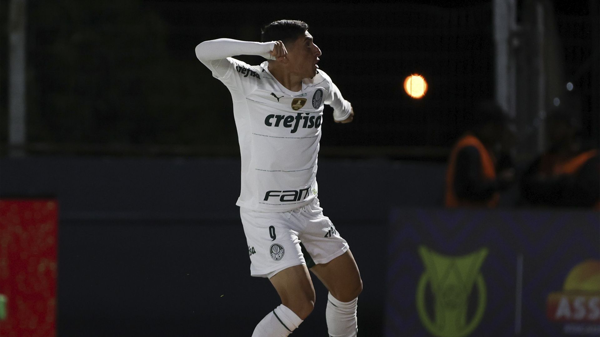 Miguel Merentiel Palmeiras