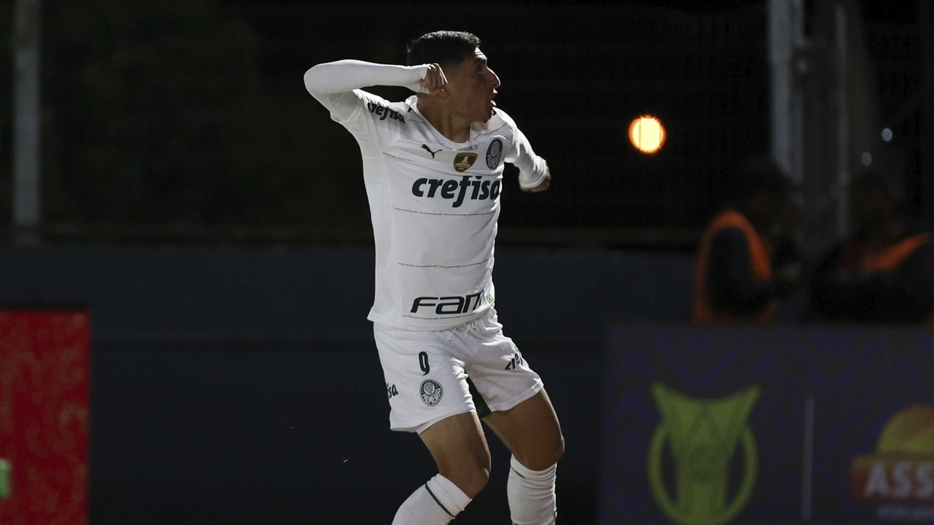 Miguel Merentiel Palmeiras