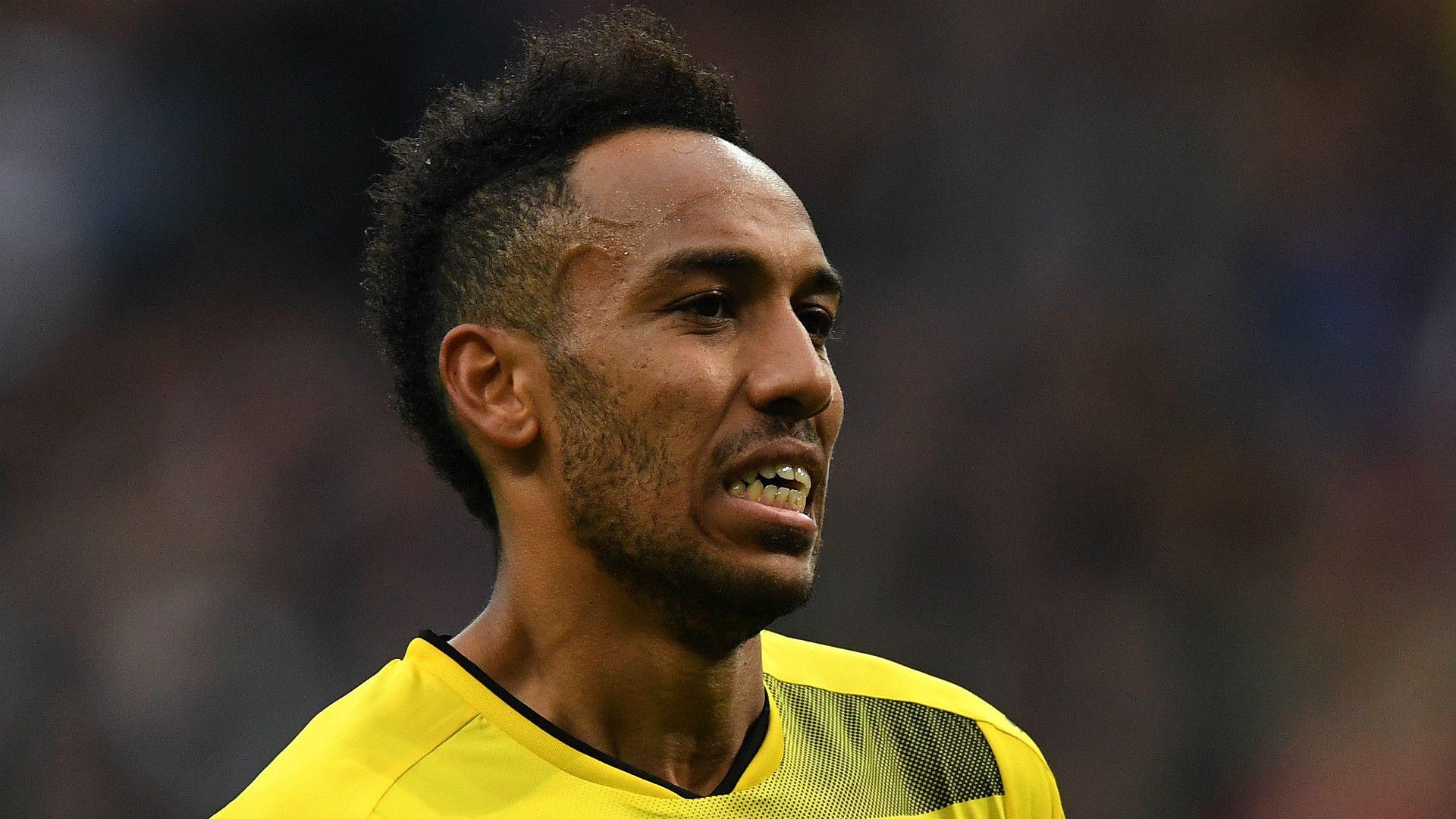 Pierre-Emerick Aubameyang Borussia Dortmund