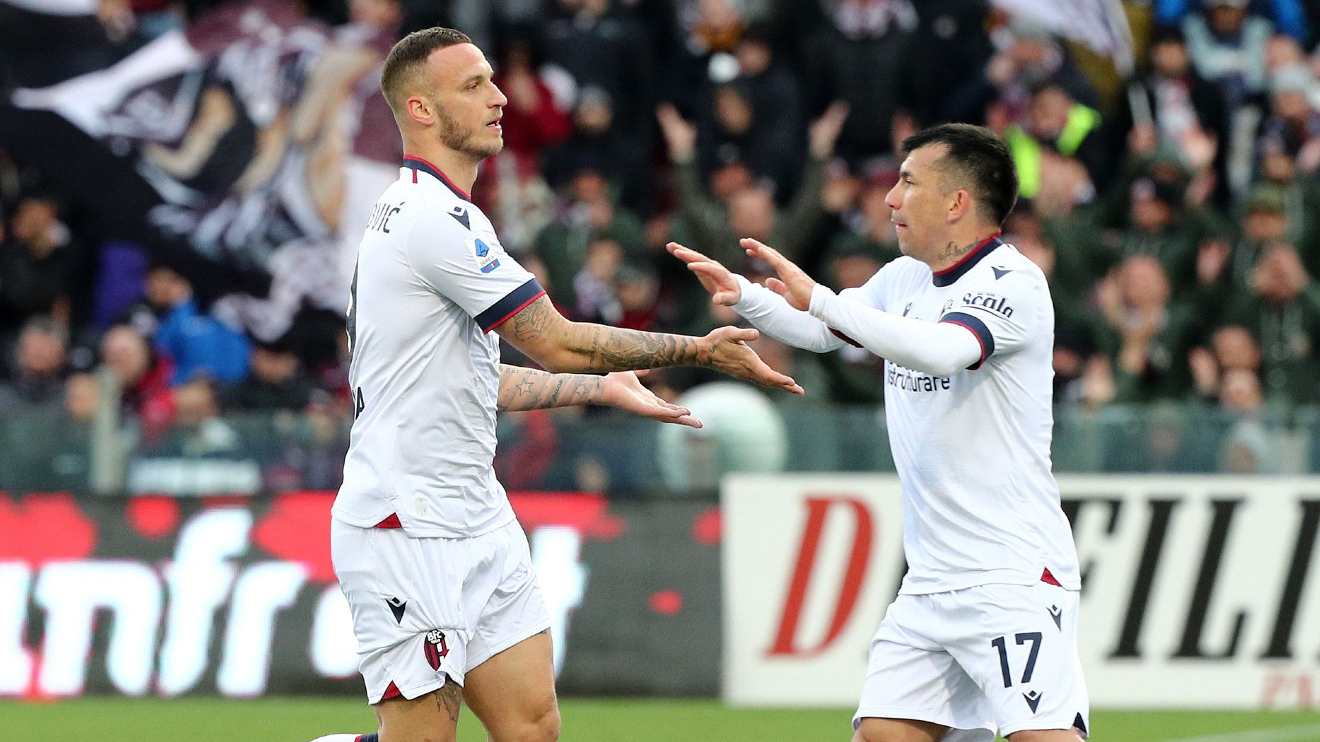Arnautovic Medel Salernitana Bologna Serie A
