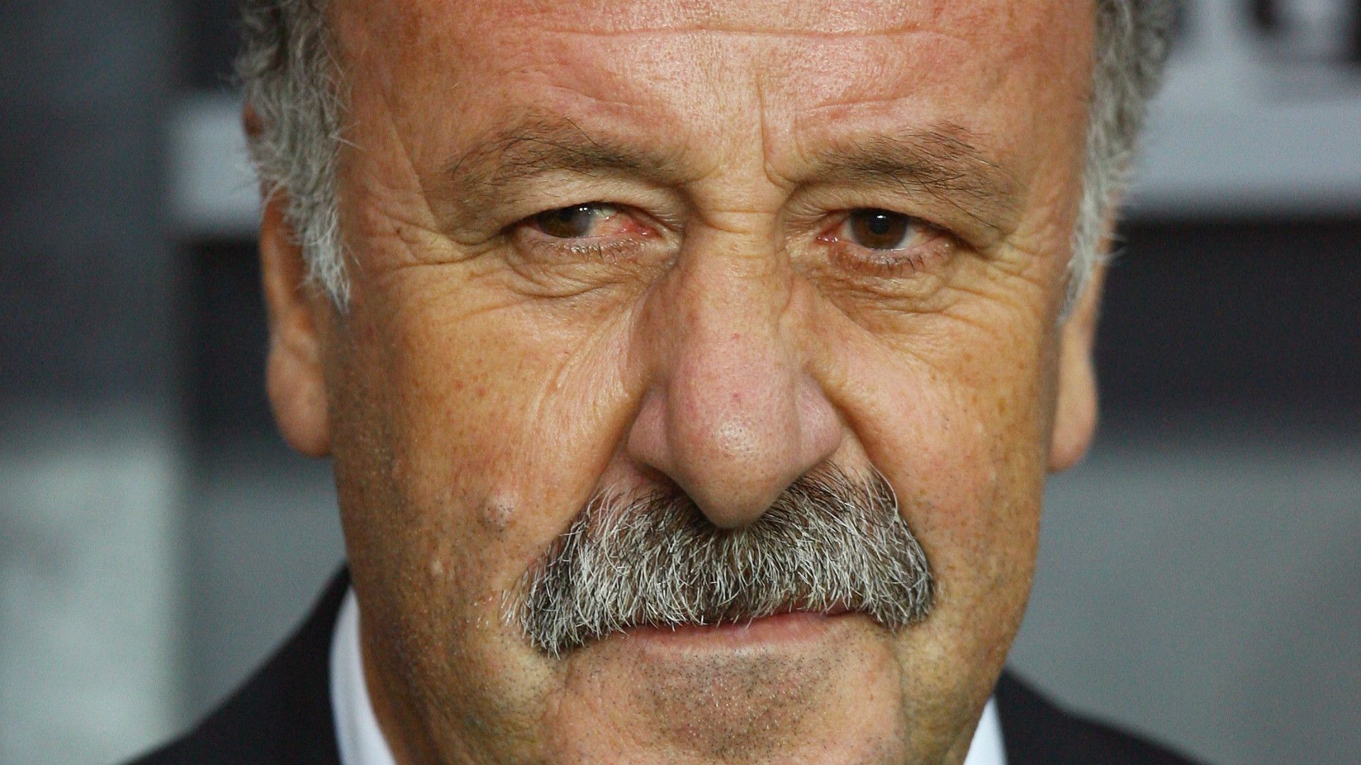 Vicente del Bosque Spain Denmark 2008 friendly